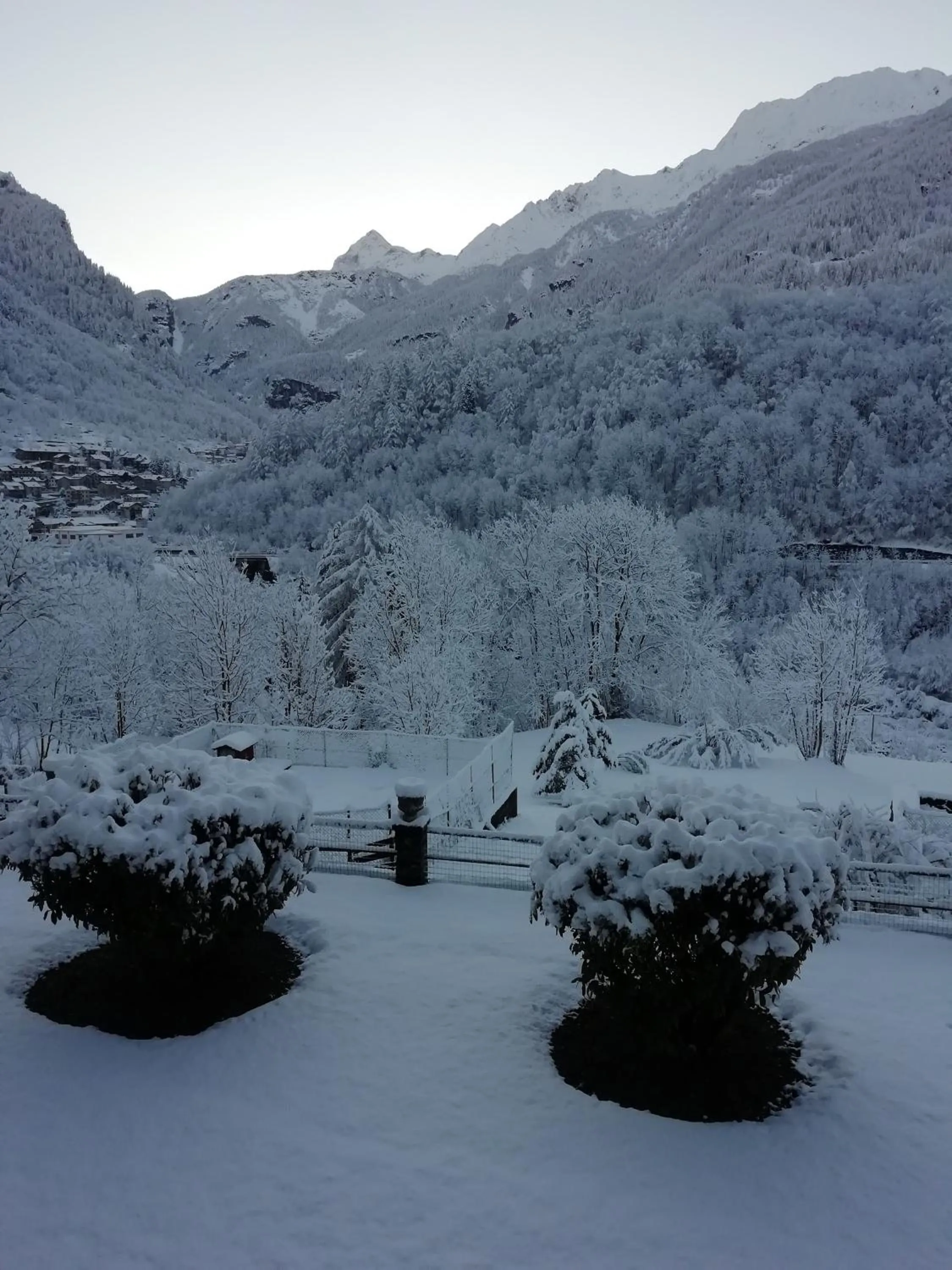 Natural landscape in Hotel Miramonti