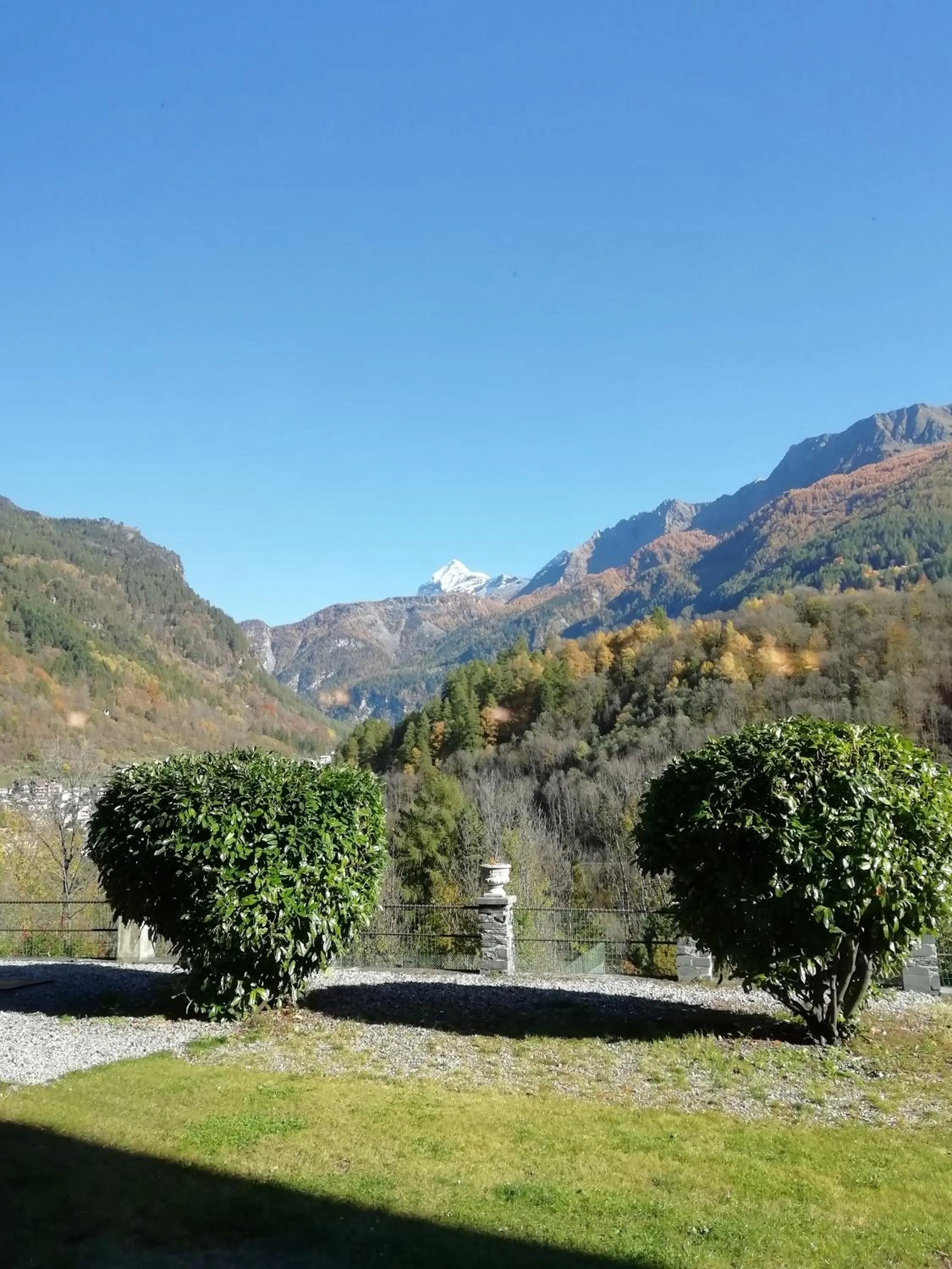 Garden in Hotel Miramonti