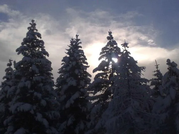 Area and facilities in Hotel Miramonti