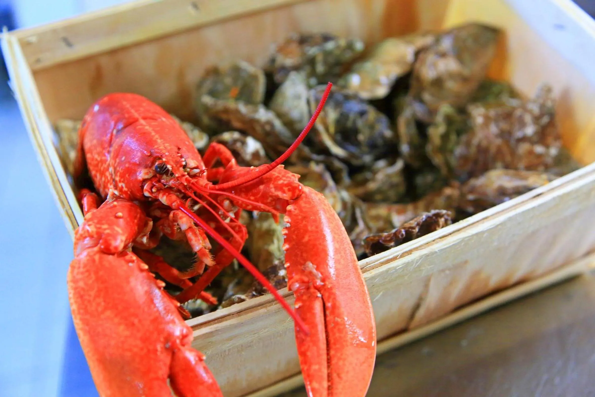 Lunch in Hôtel L'Escale - Piscine & SPA