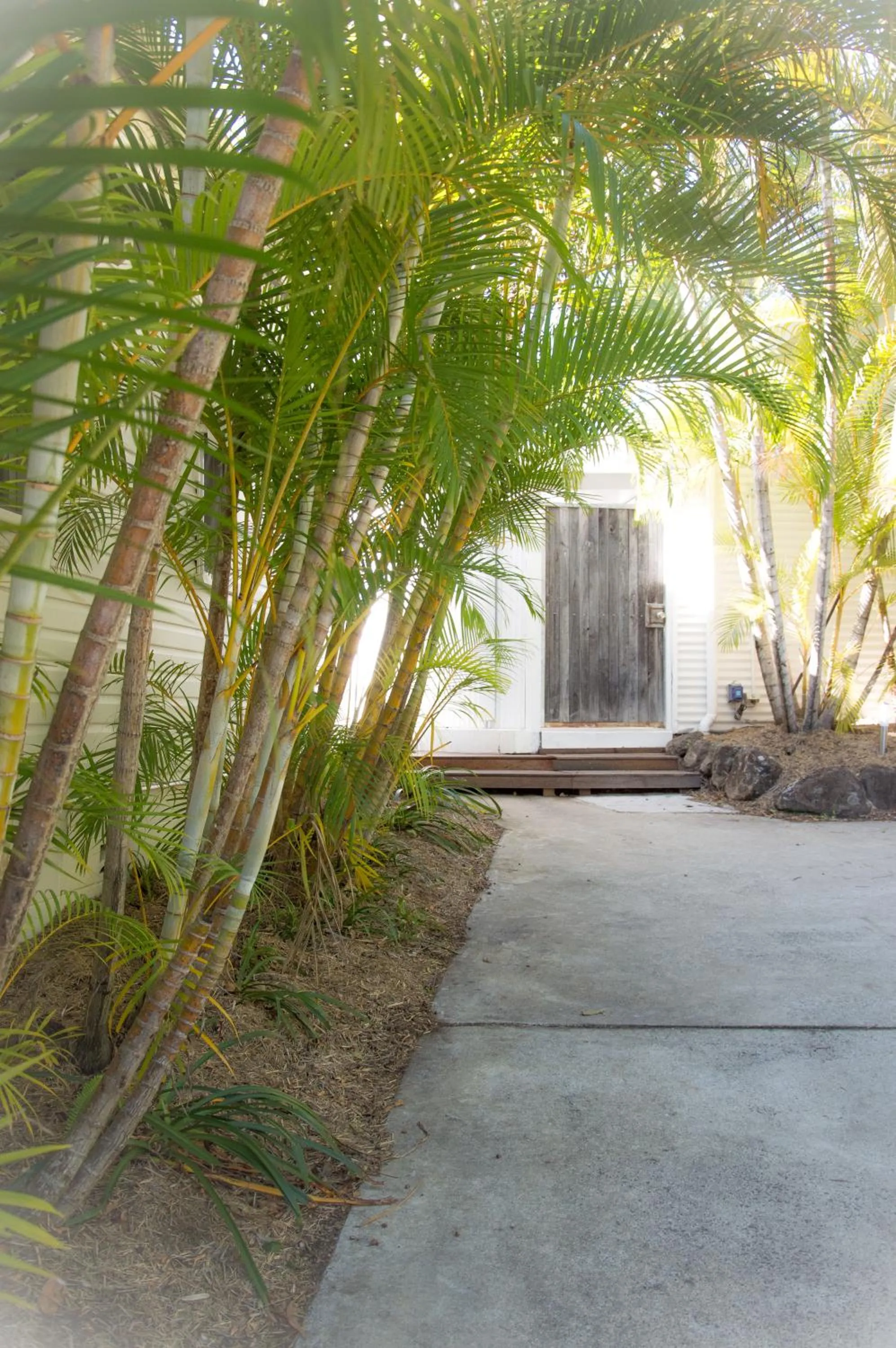 Garden in Byron Springs