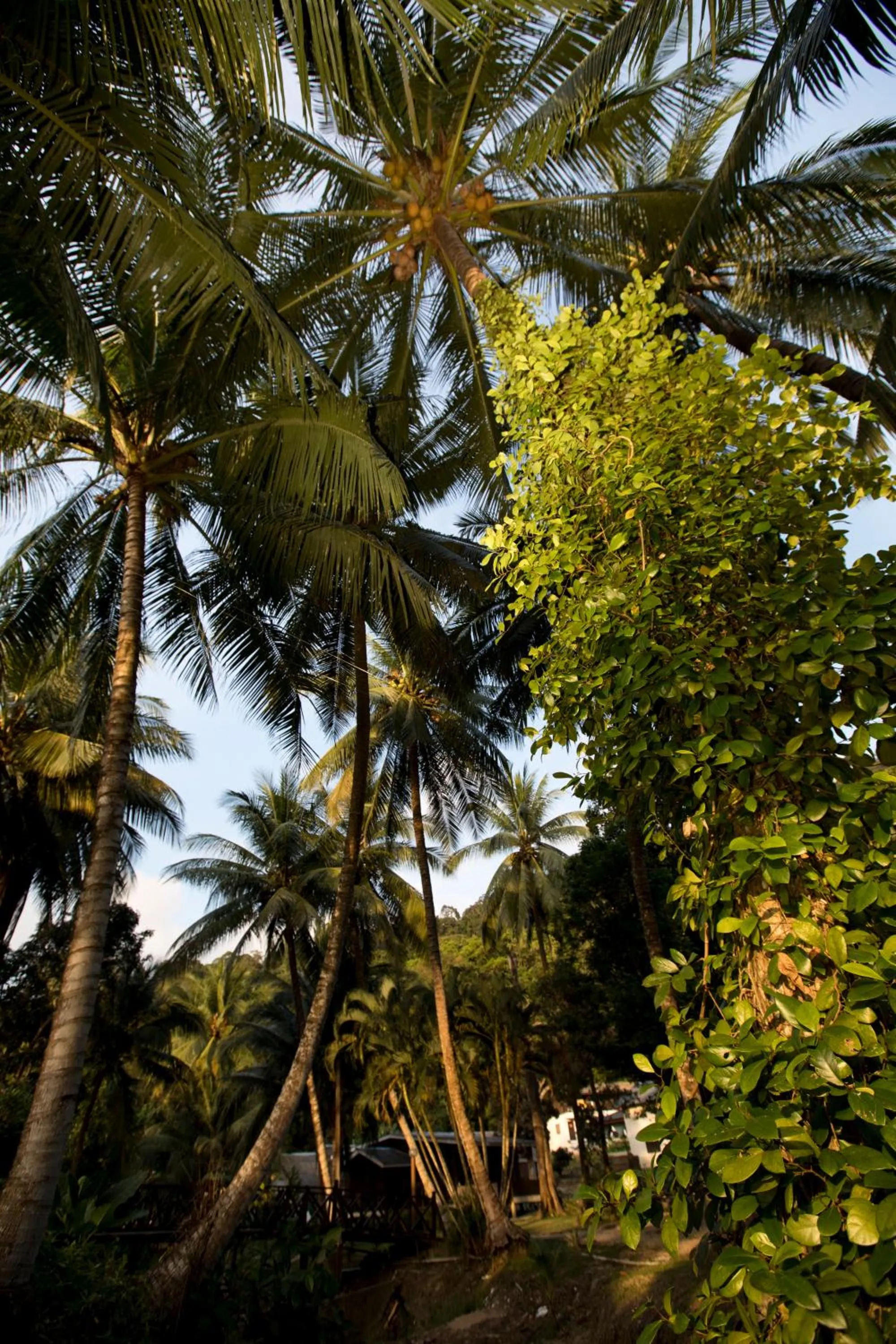 Other in Perhentian Island Resort