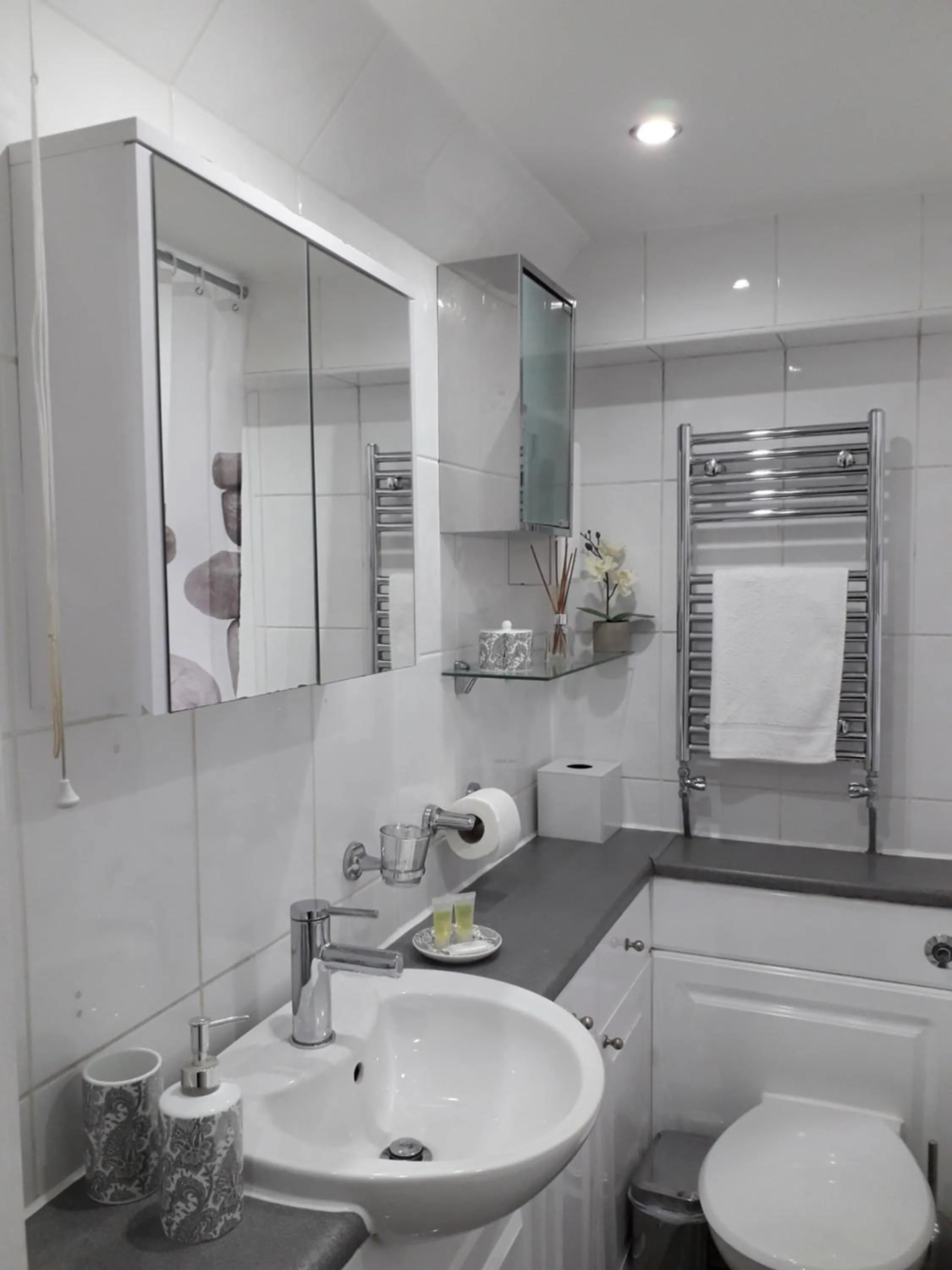 Shower in Luxurious Apartment in Kensington & Chelsea