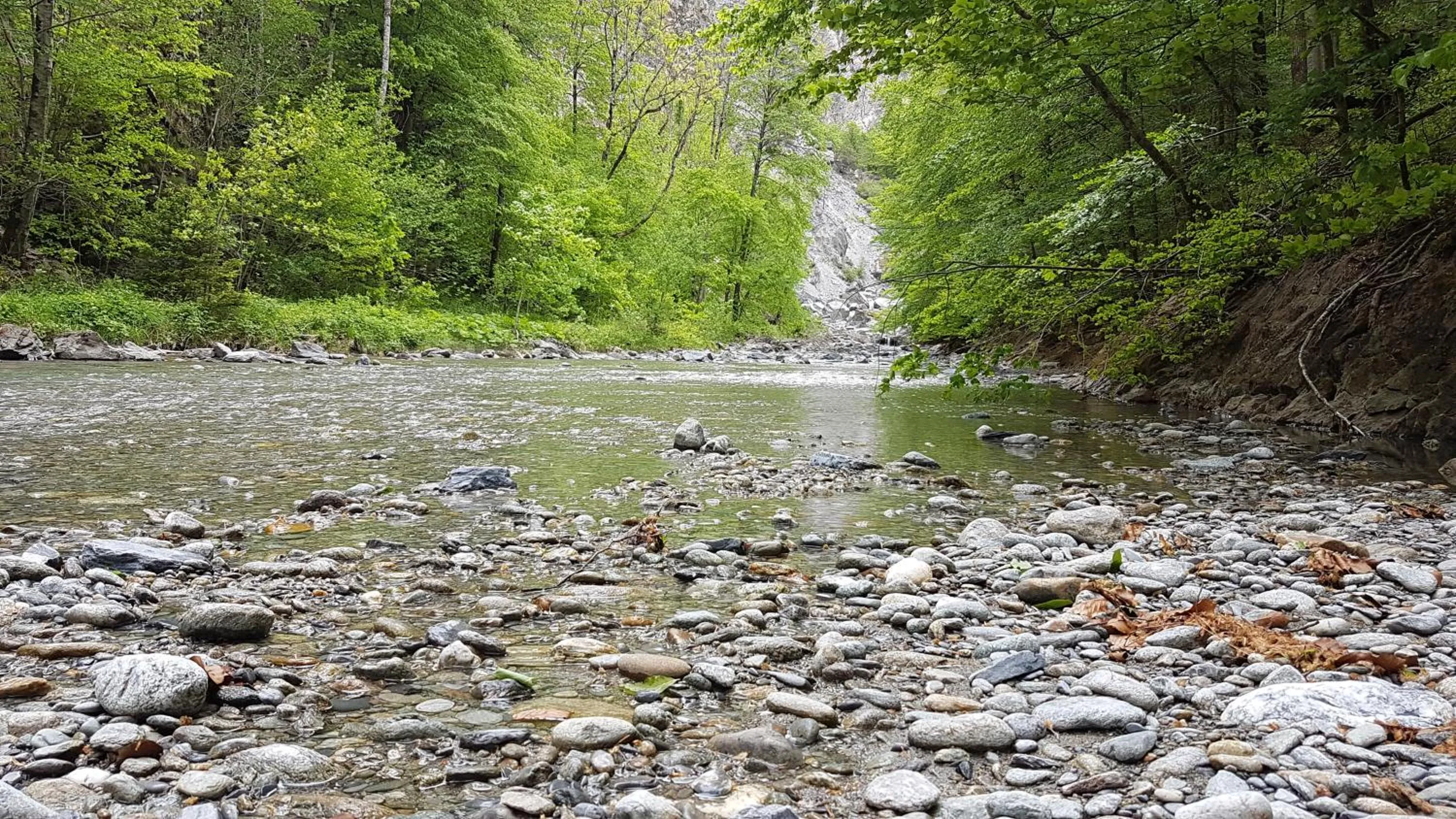 Natural landscape in Hotel Hof und Post