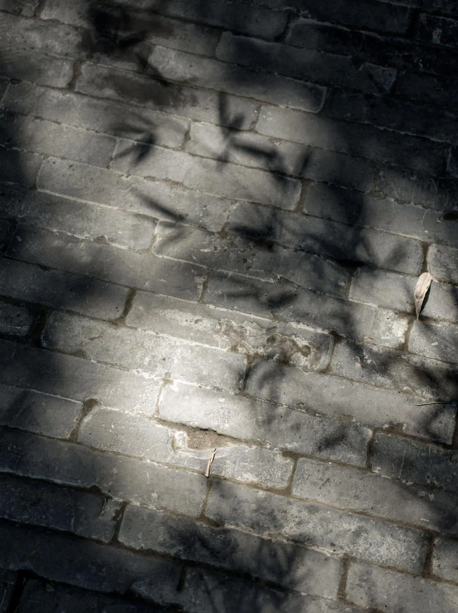 The Orchid Hotel - Old Town & Drum Tower