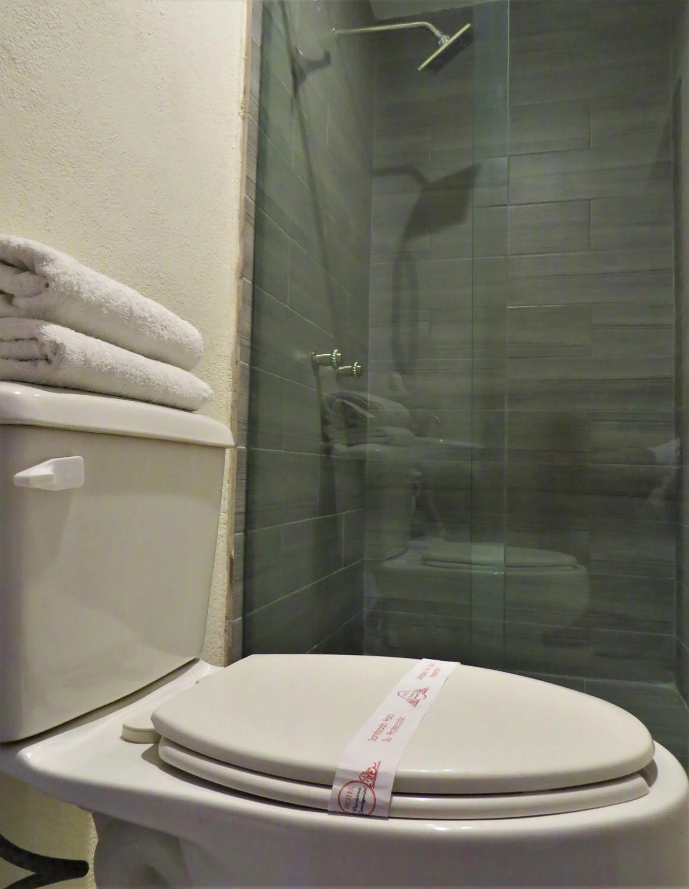 Shower in Hotel Purisima Concepción