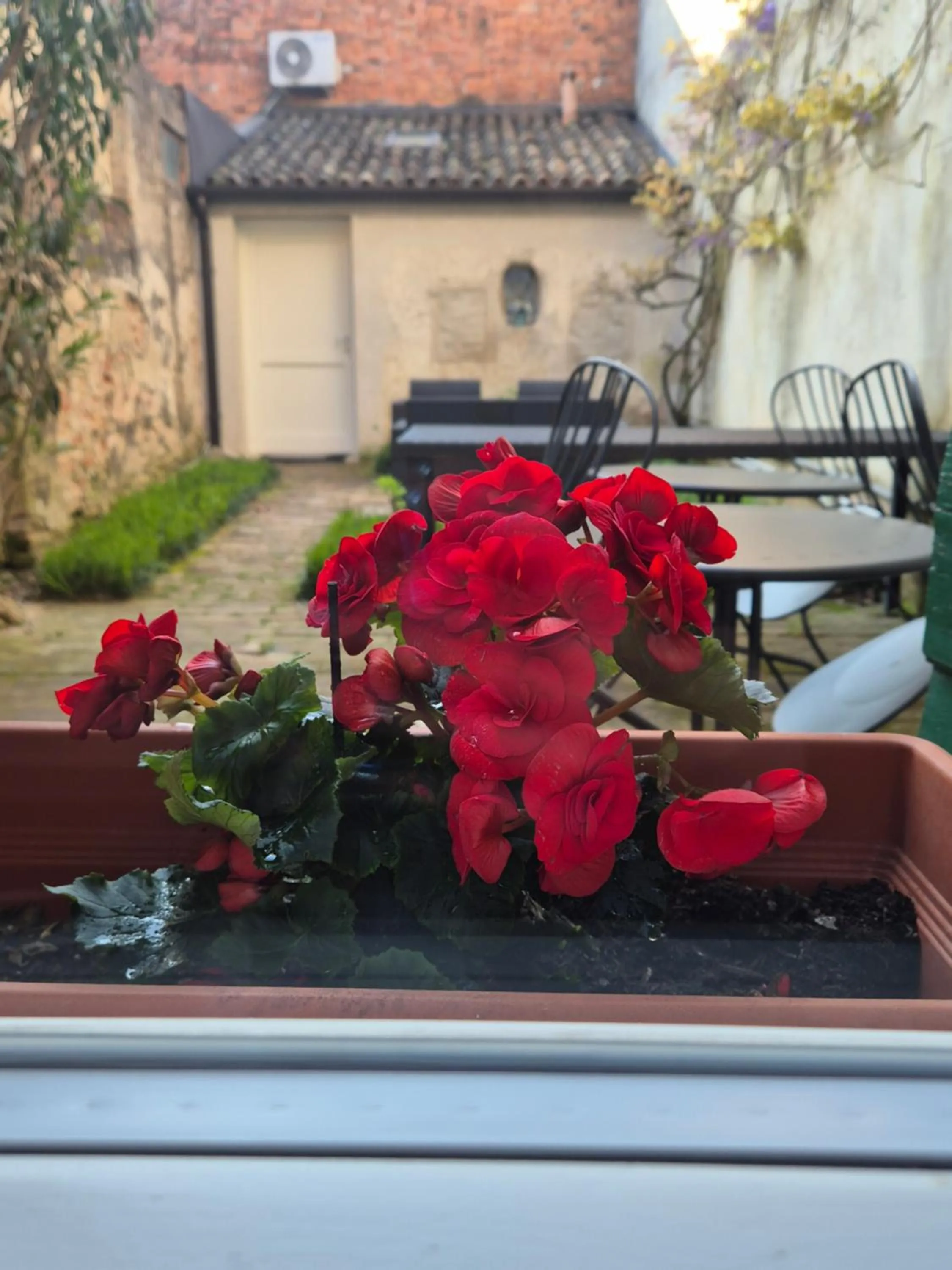 19 Borgo Cavour