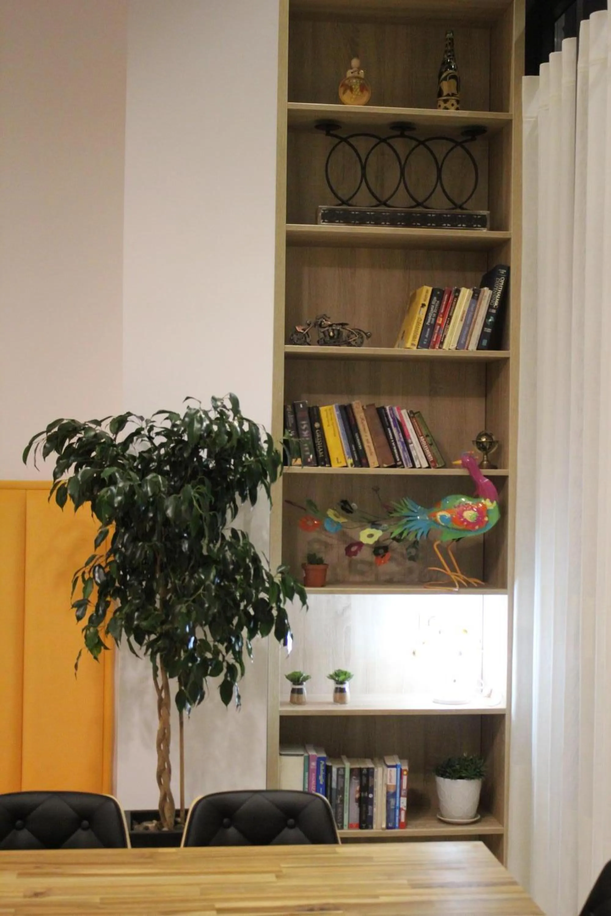 Library in Park Hotel Tirana