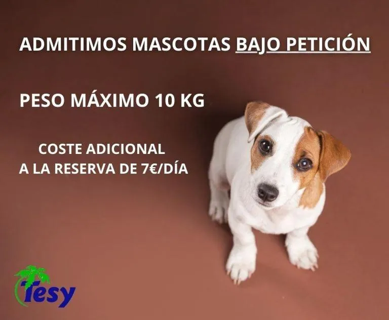 Apartamentos Tesy