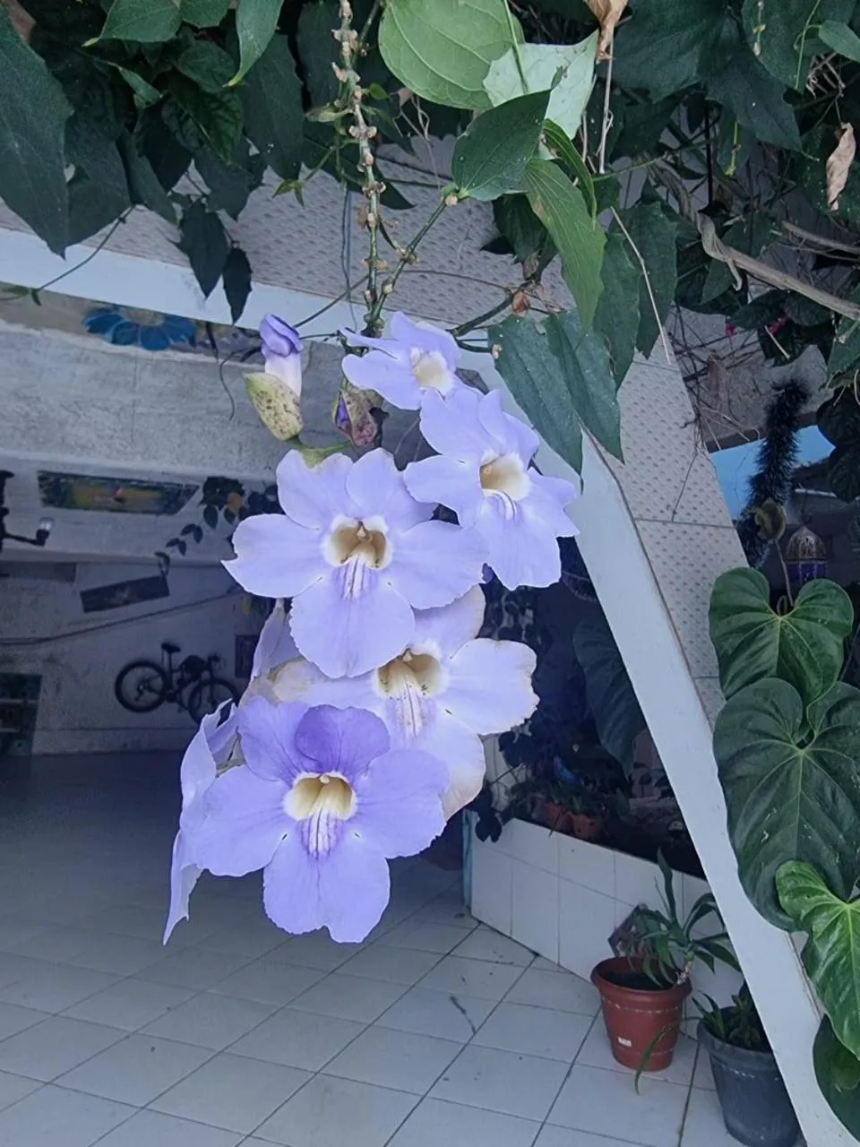 Pousada Solstício De Verão