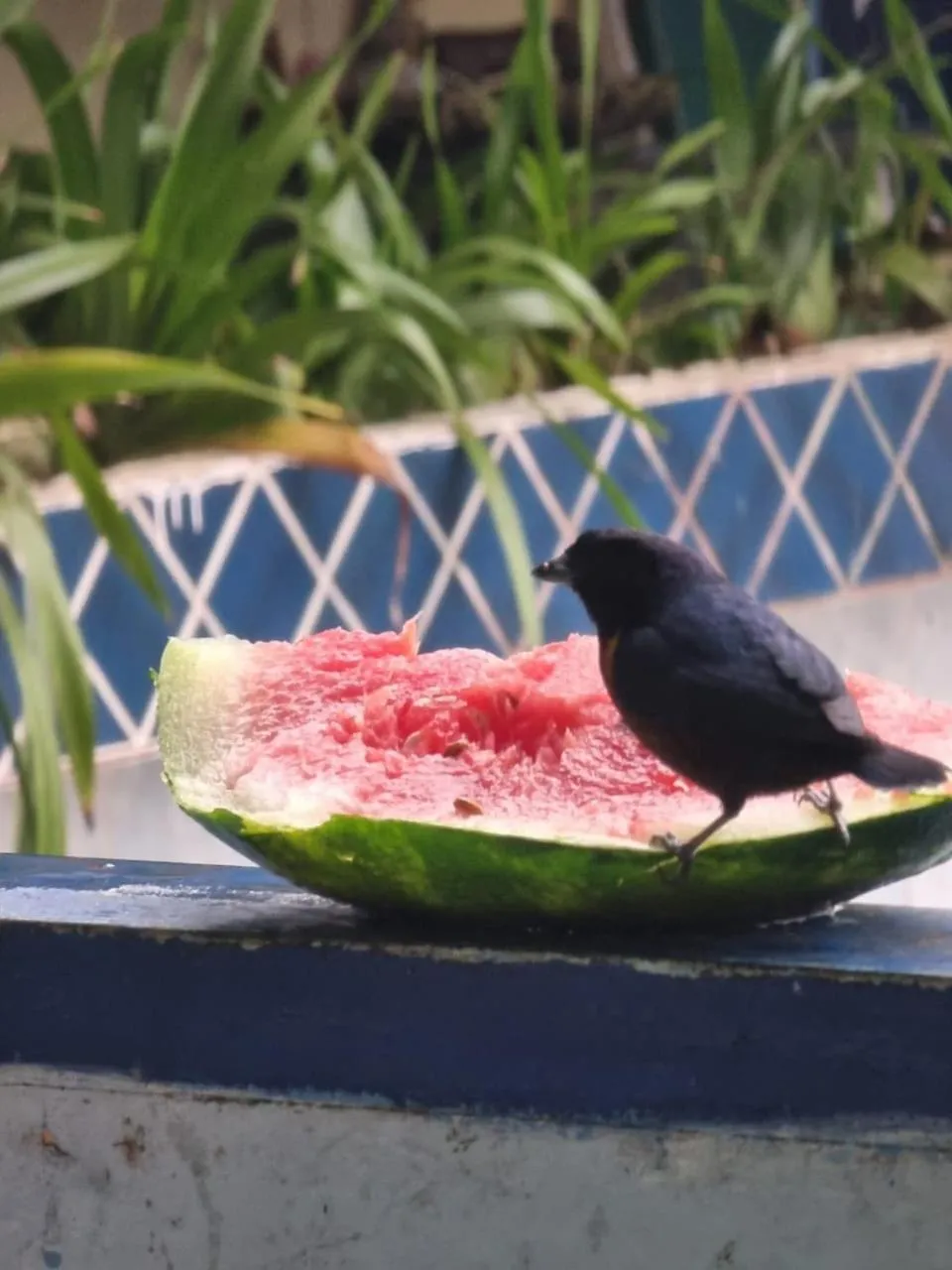 Pousada Solstício De Verão