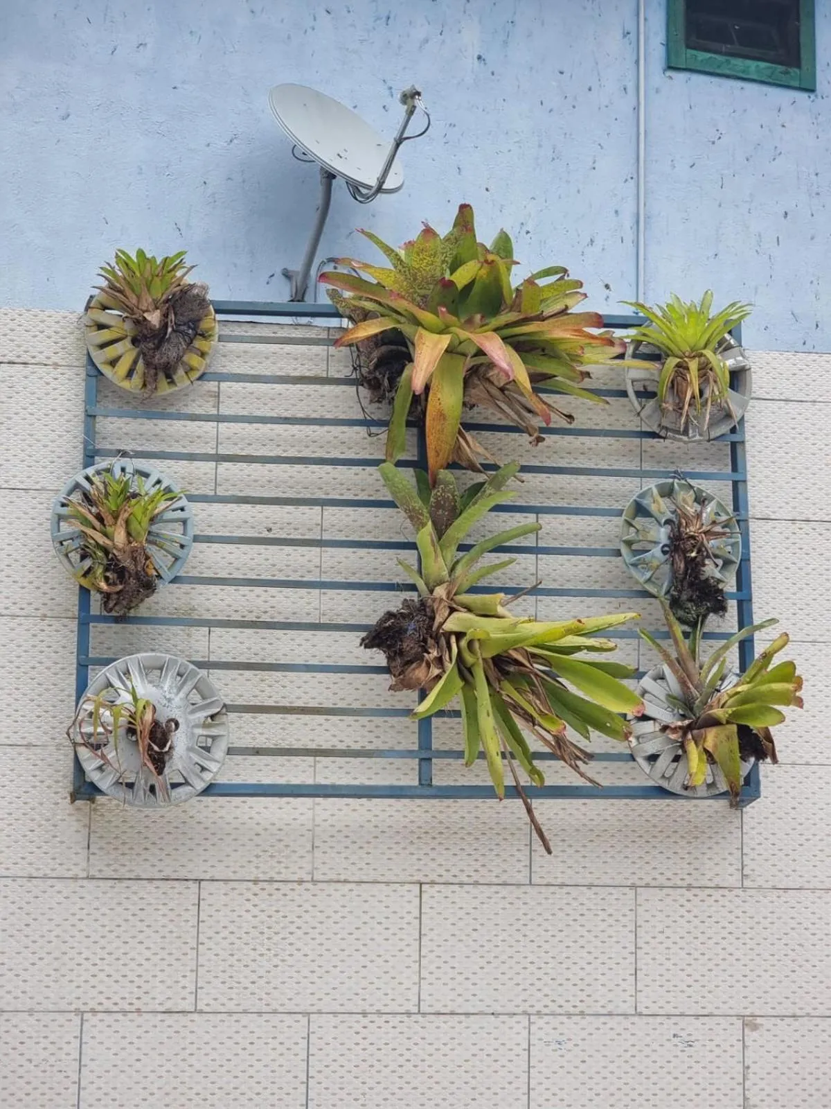 Pousada Solstício De Verão