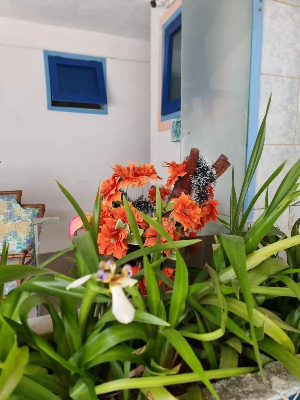 Garden in Pousada Solstício De Verão