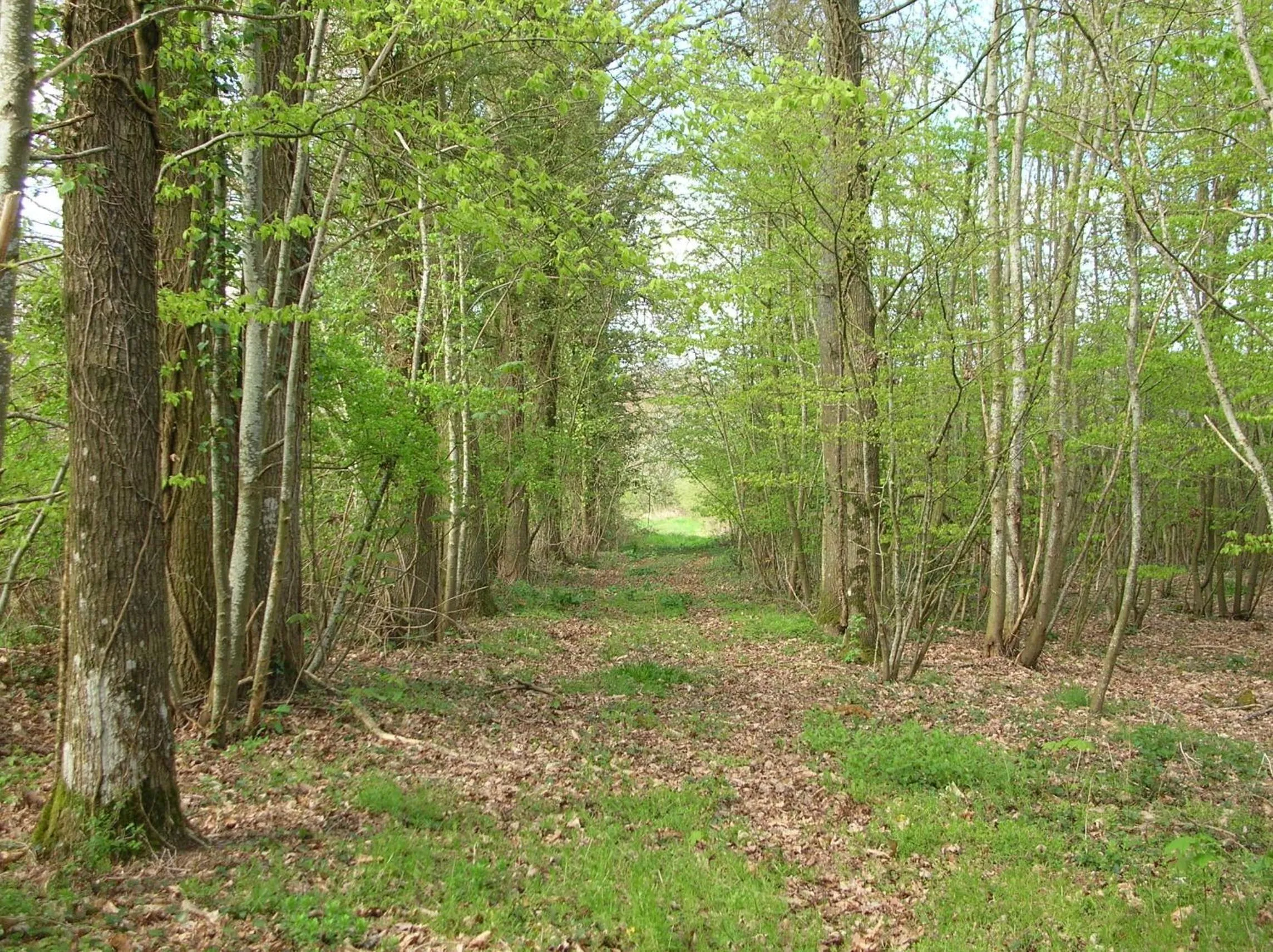 Facade/entrance in Domaine De Chatenay - Le Mans
