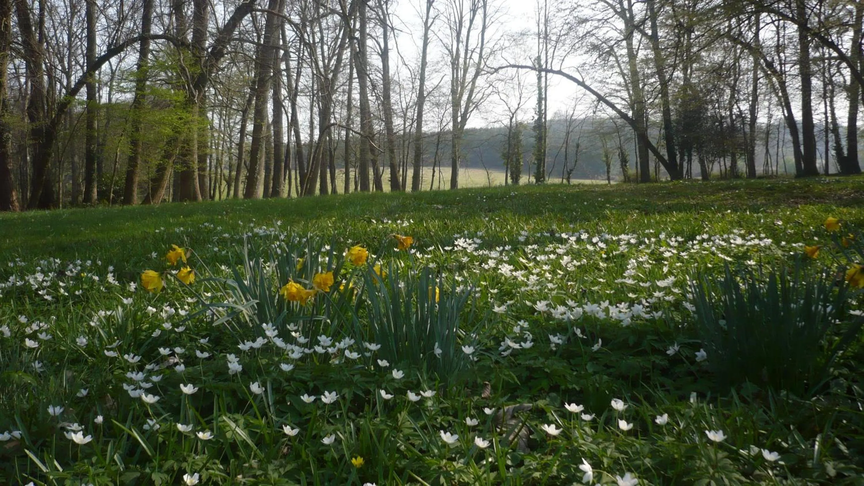 Facade/entrance in Domaine De Chatenay - Le Mans