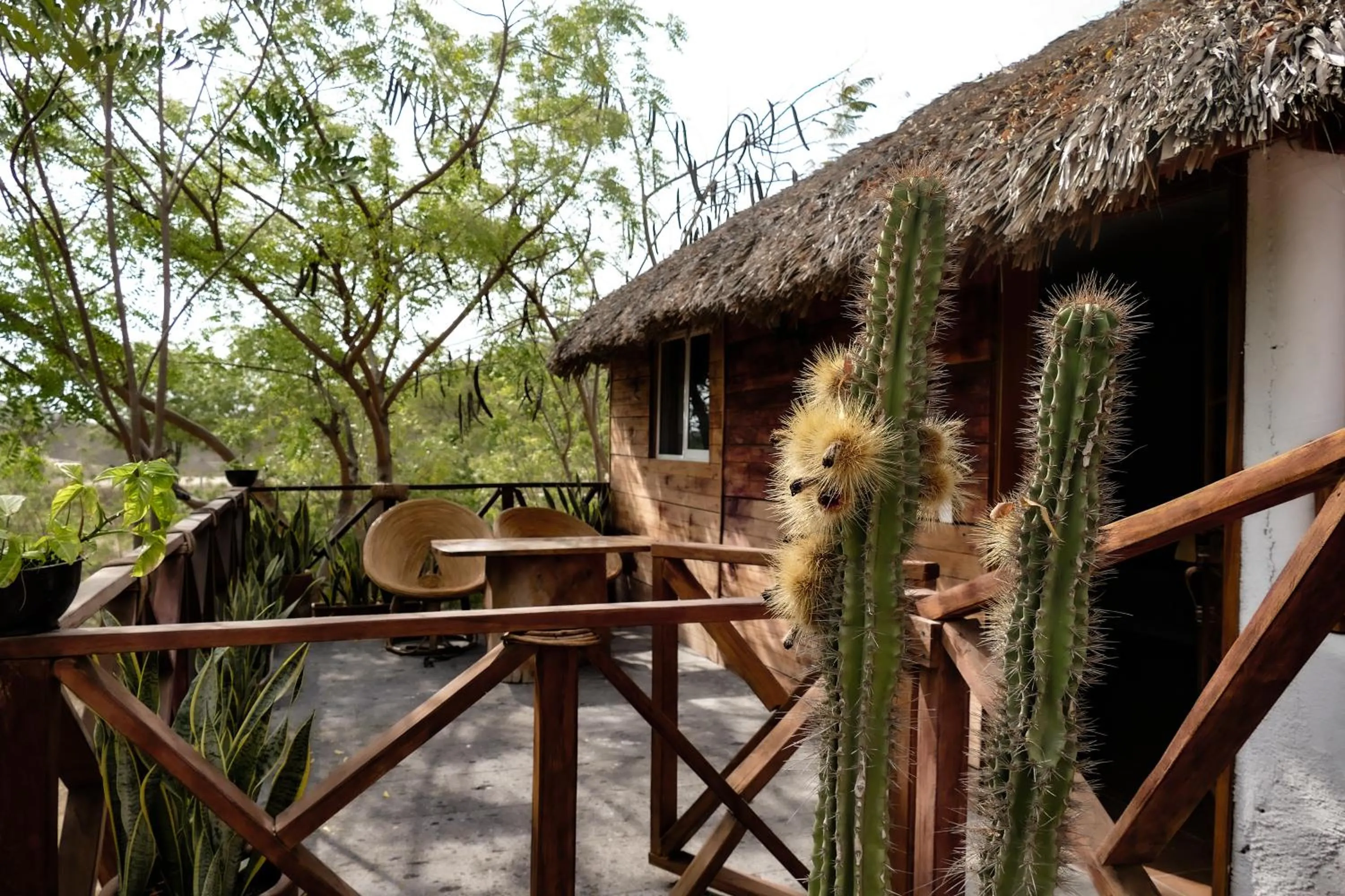 Solarium in Casa Paraiso Hotel Boutique
