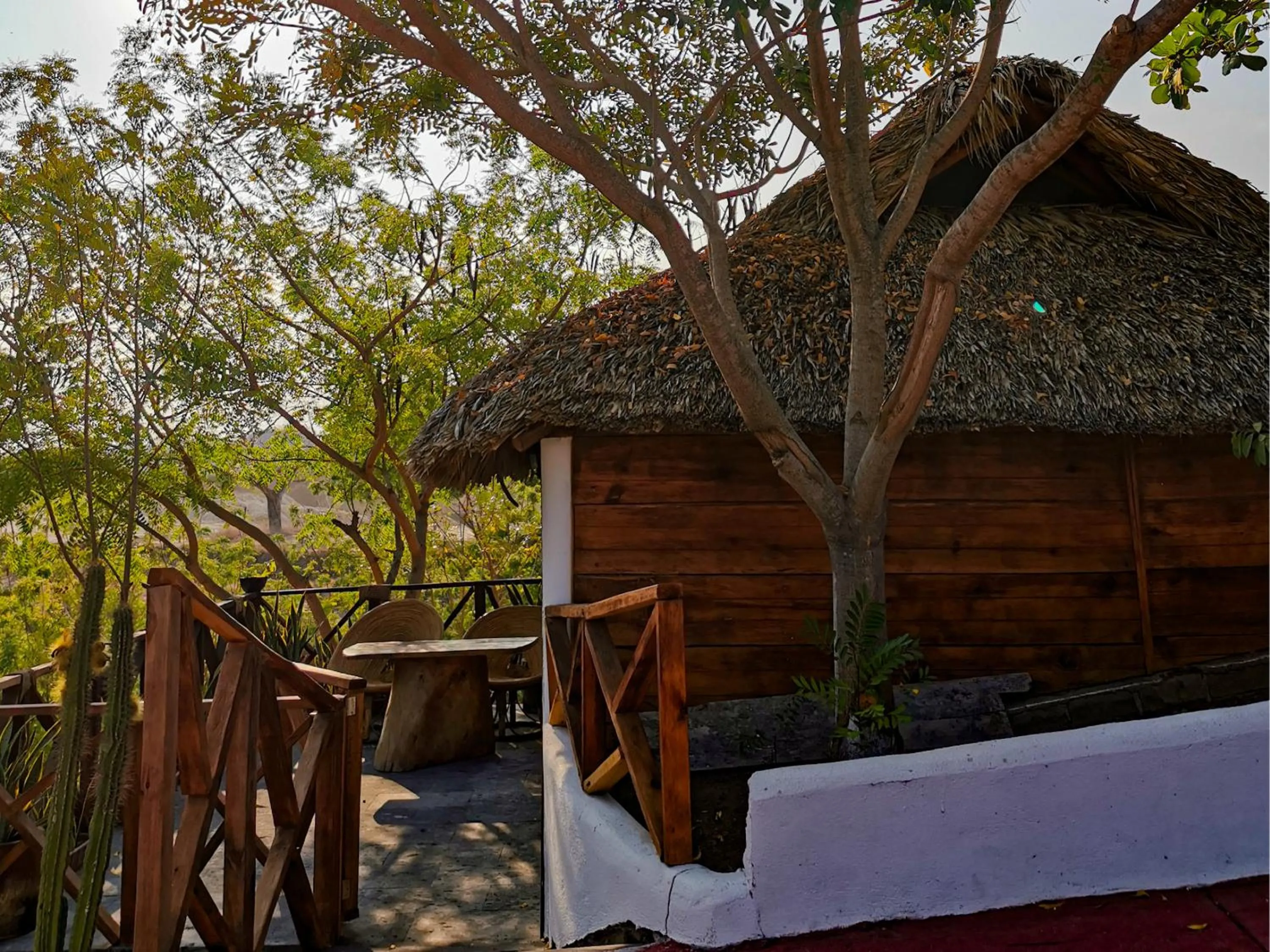 Garden view in Casa Paraiso Hotel Boutique