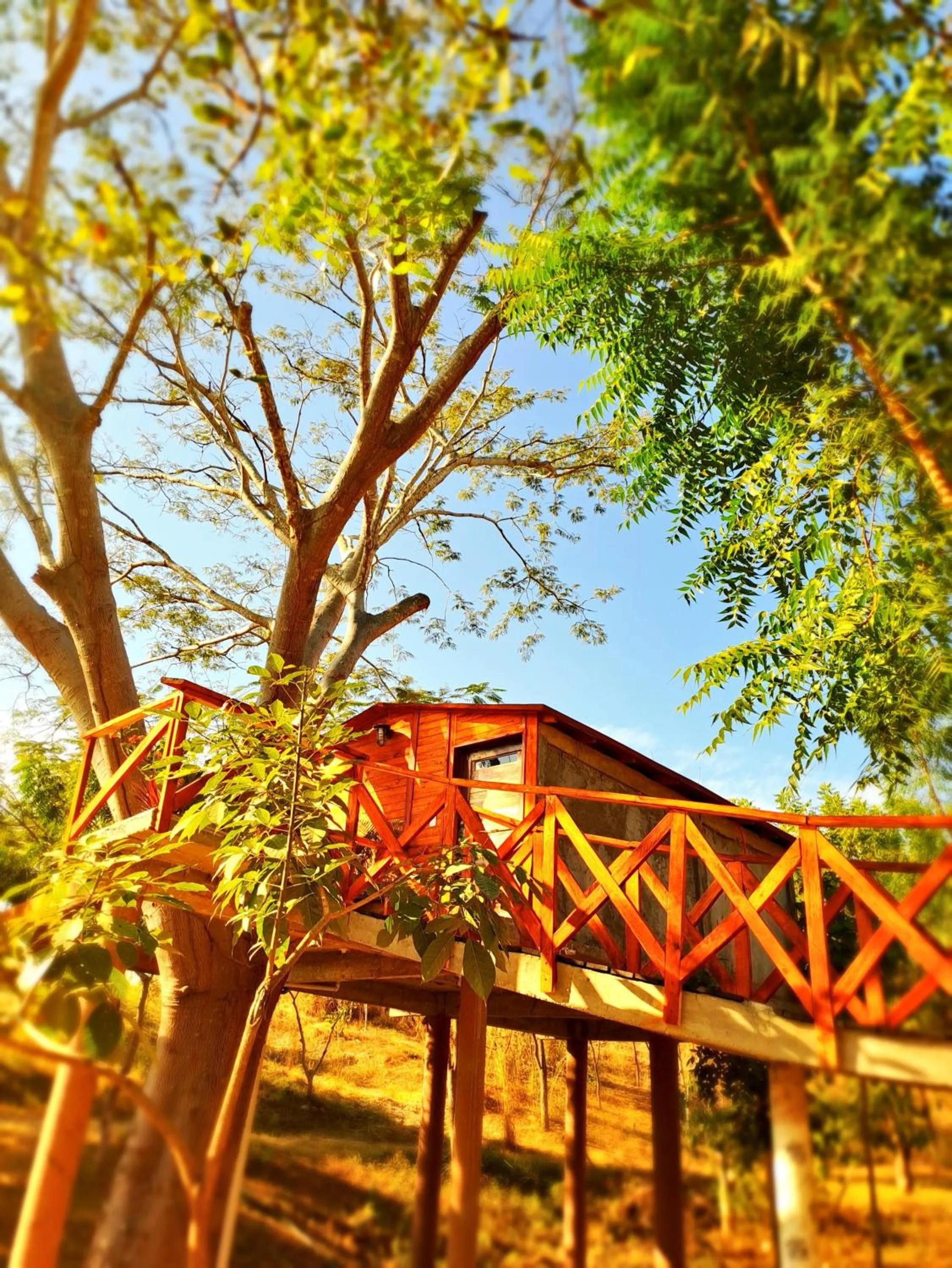 Garden in Casa Paraiso Hotel Boutique