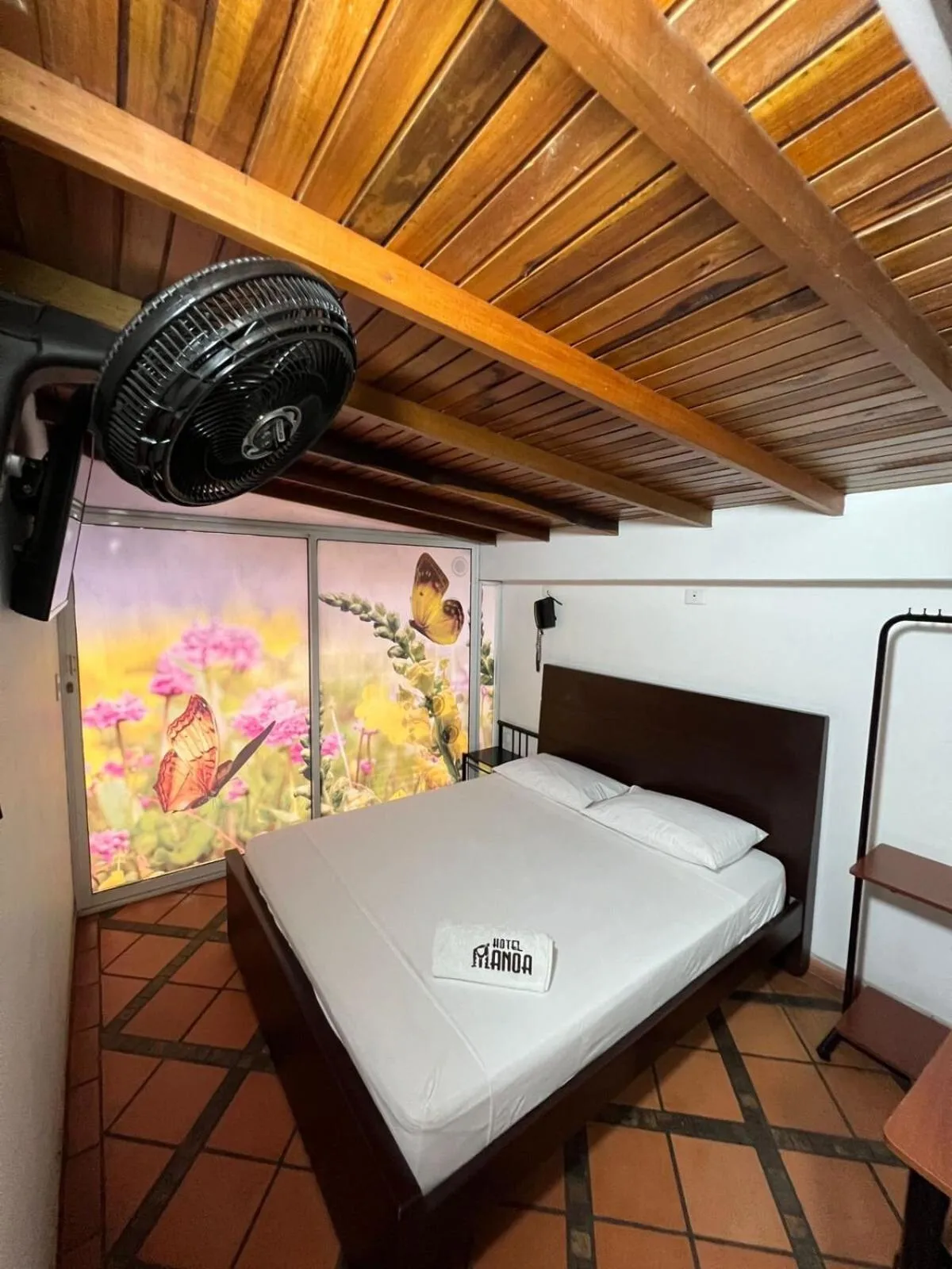 Photo of the whole room in Hotel Manoa