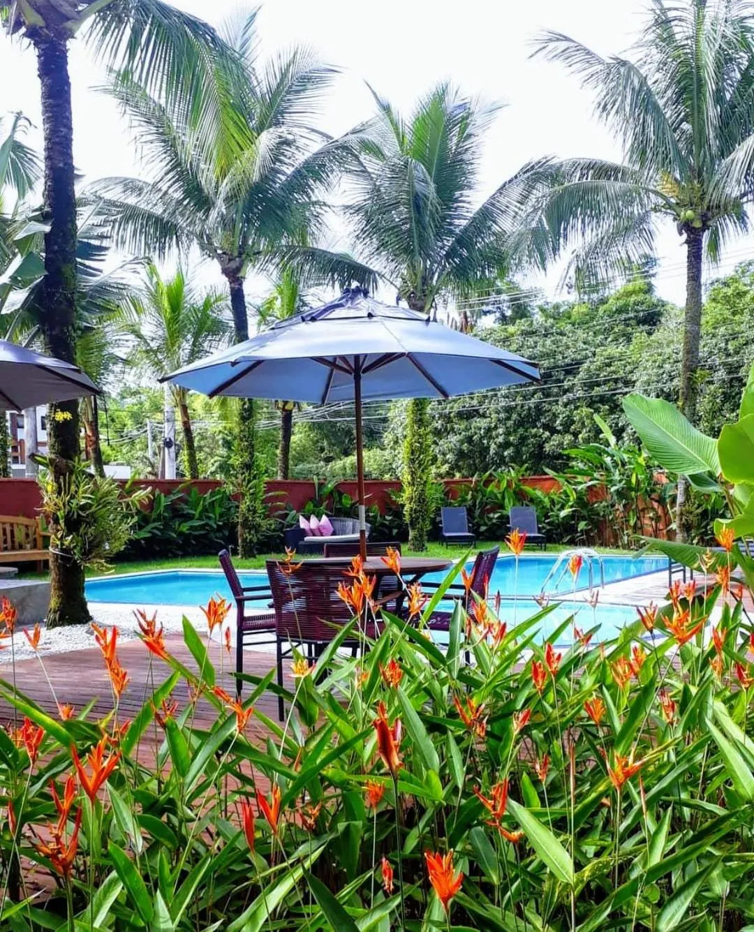Pool view in Pousada Toca da Praia