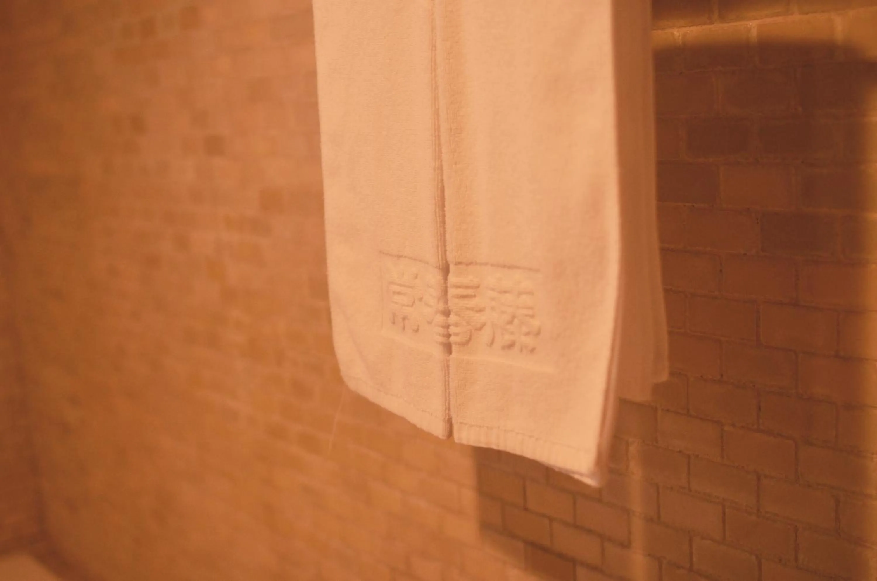 towels in Ivy Motel