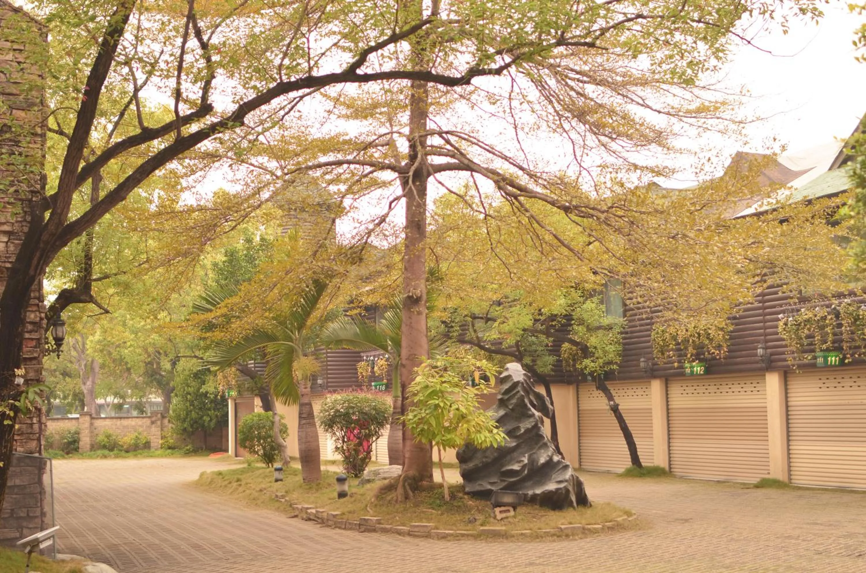 Garden view in Ivy Motel