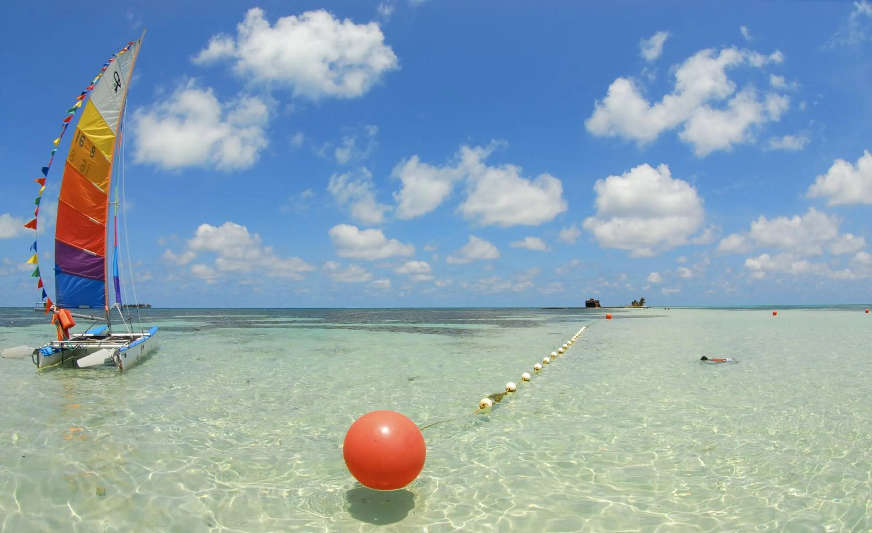 Natural landscape in Hotel Cocoplum Beach