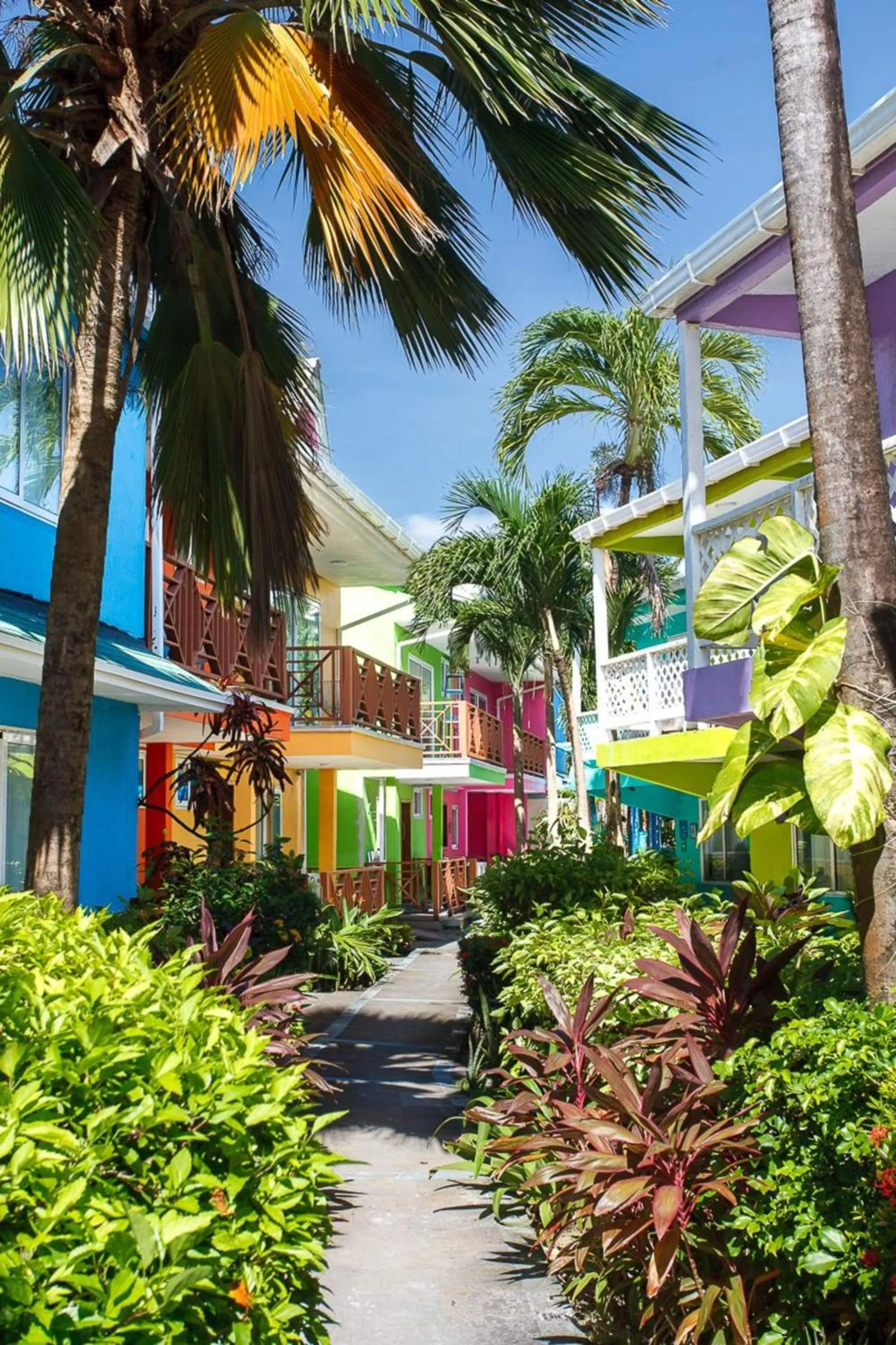 Property building in Hotel Cocoplum Beach