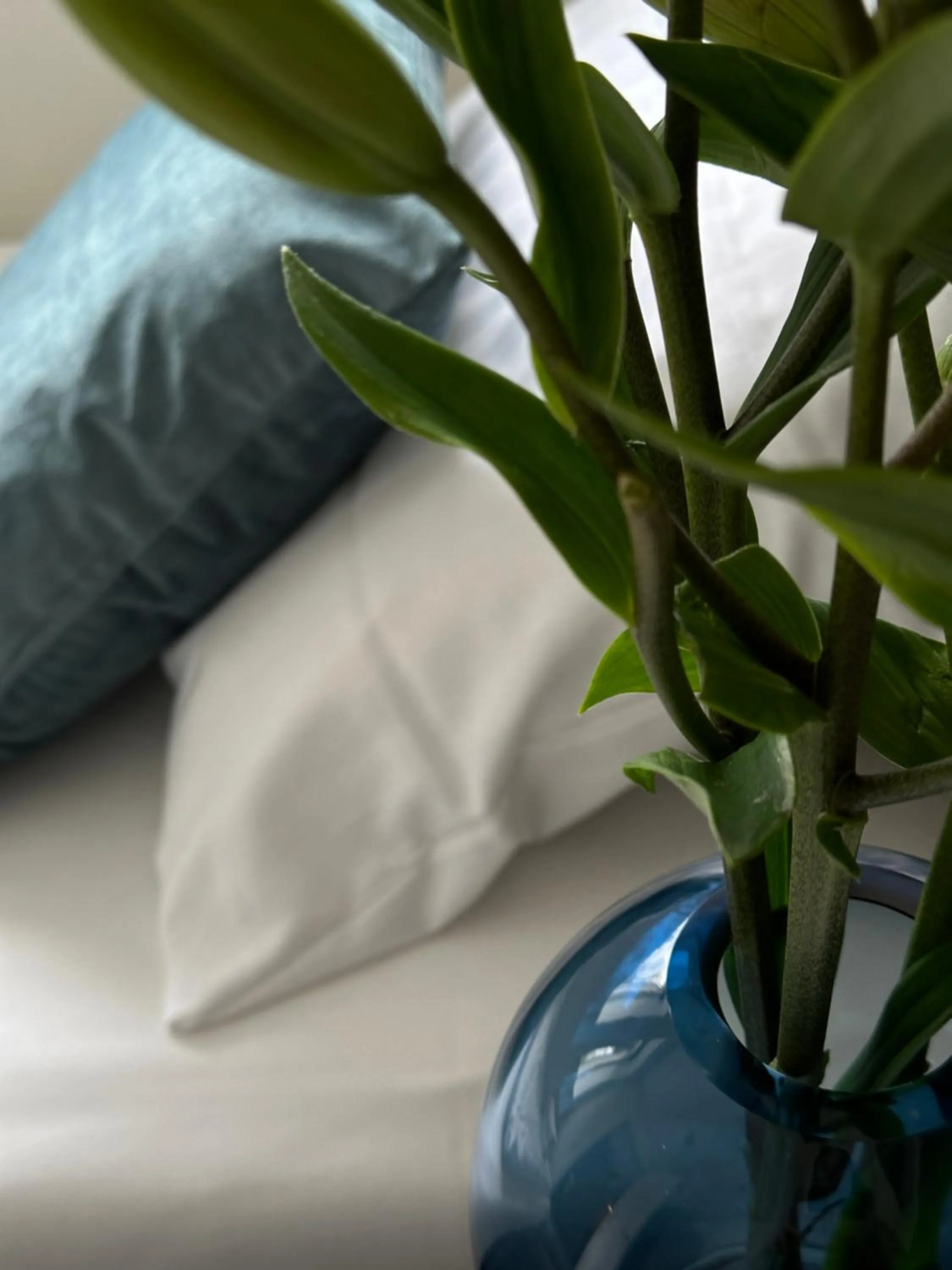 Bed in ApartHotel Faber