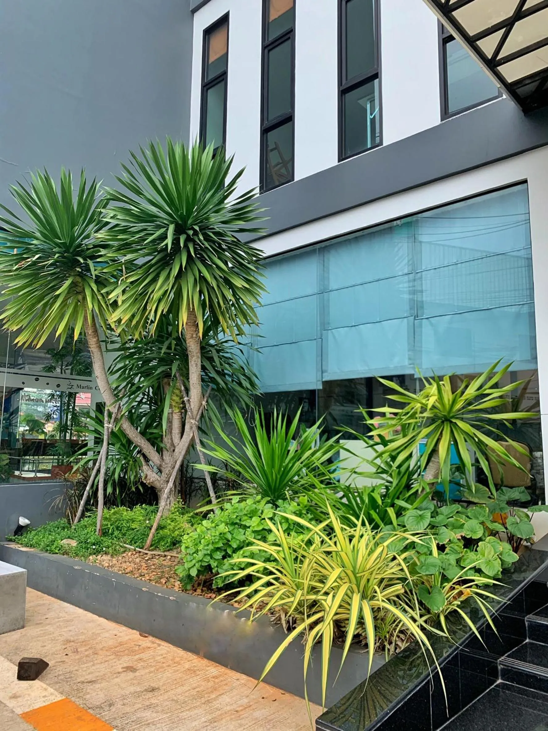 Garden in Marlin Hotel