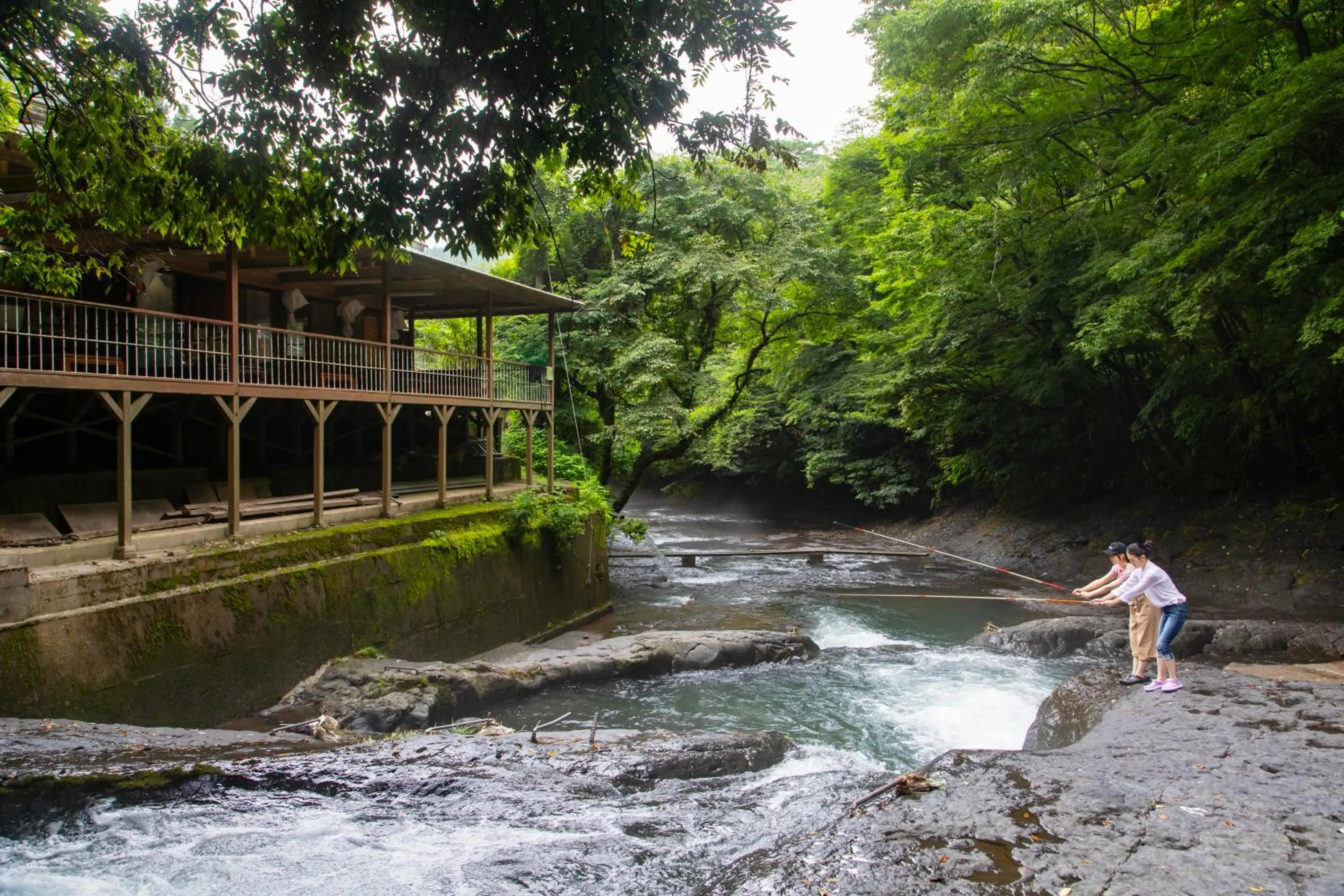 Kyukamura Minami-Aso