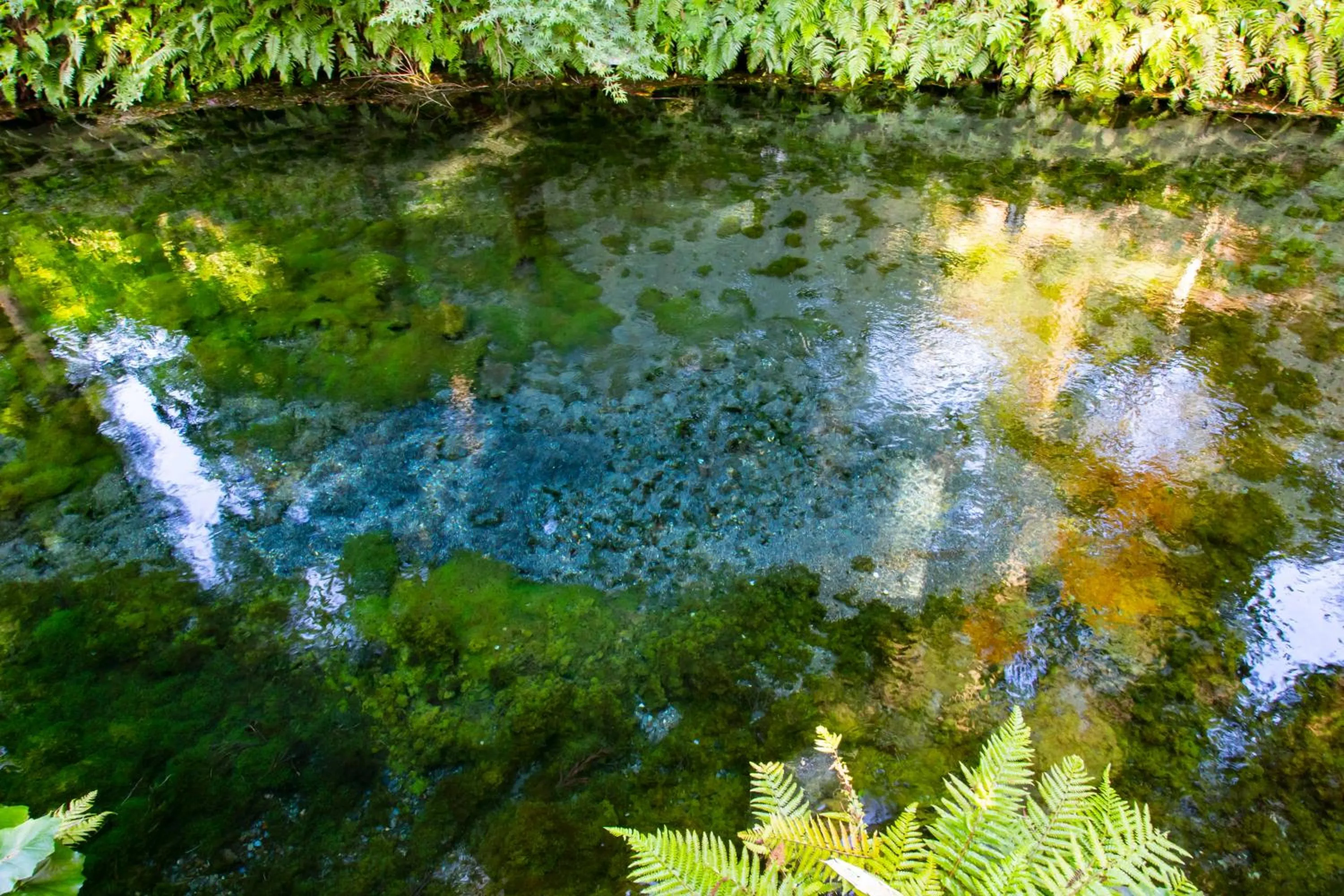 Kyukamura Minami-Aso