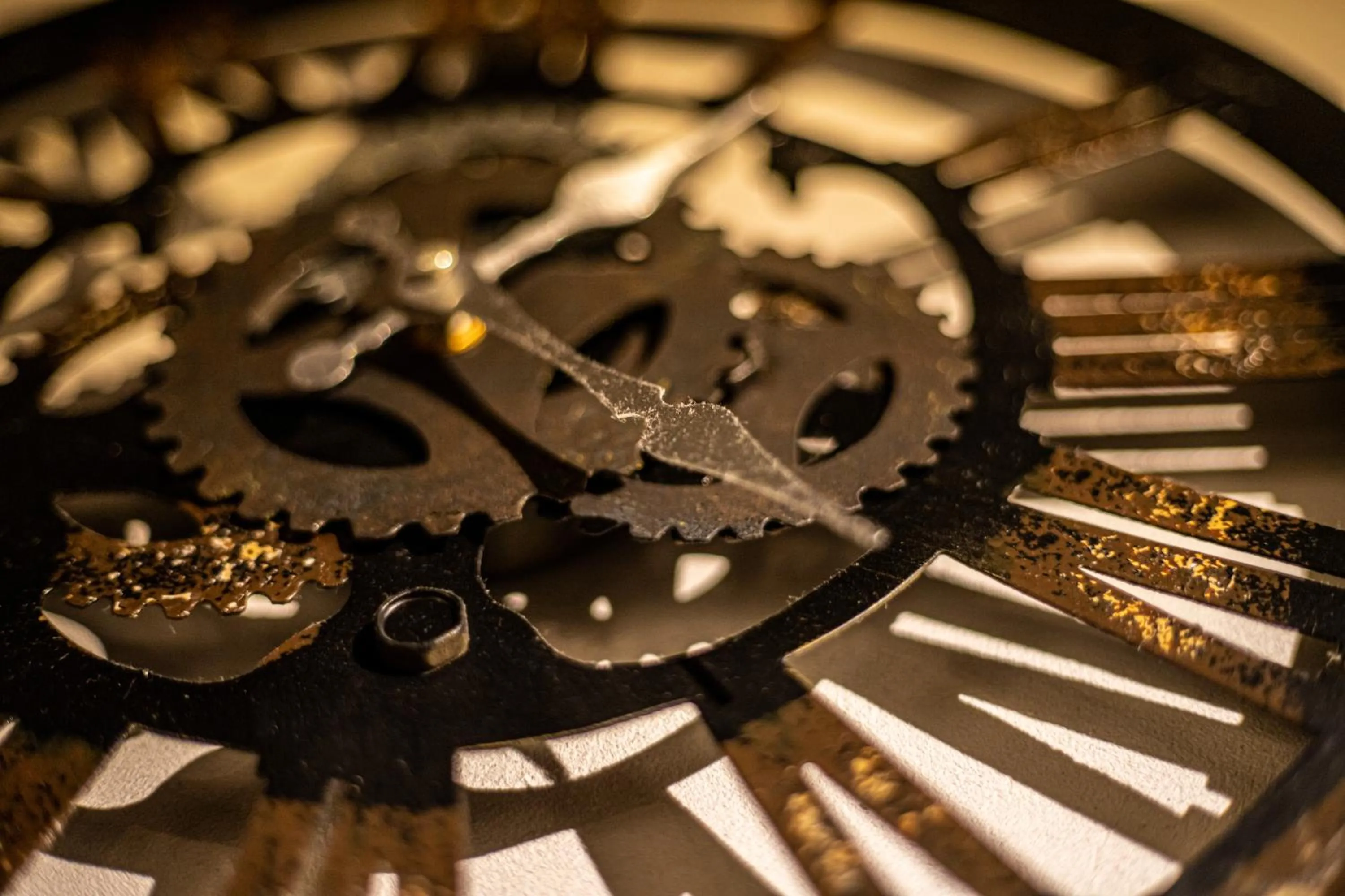 Decorative detail in LifeHouse IPPO