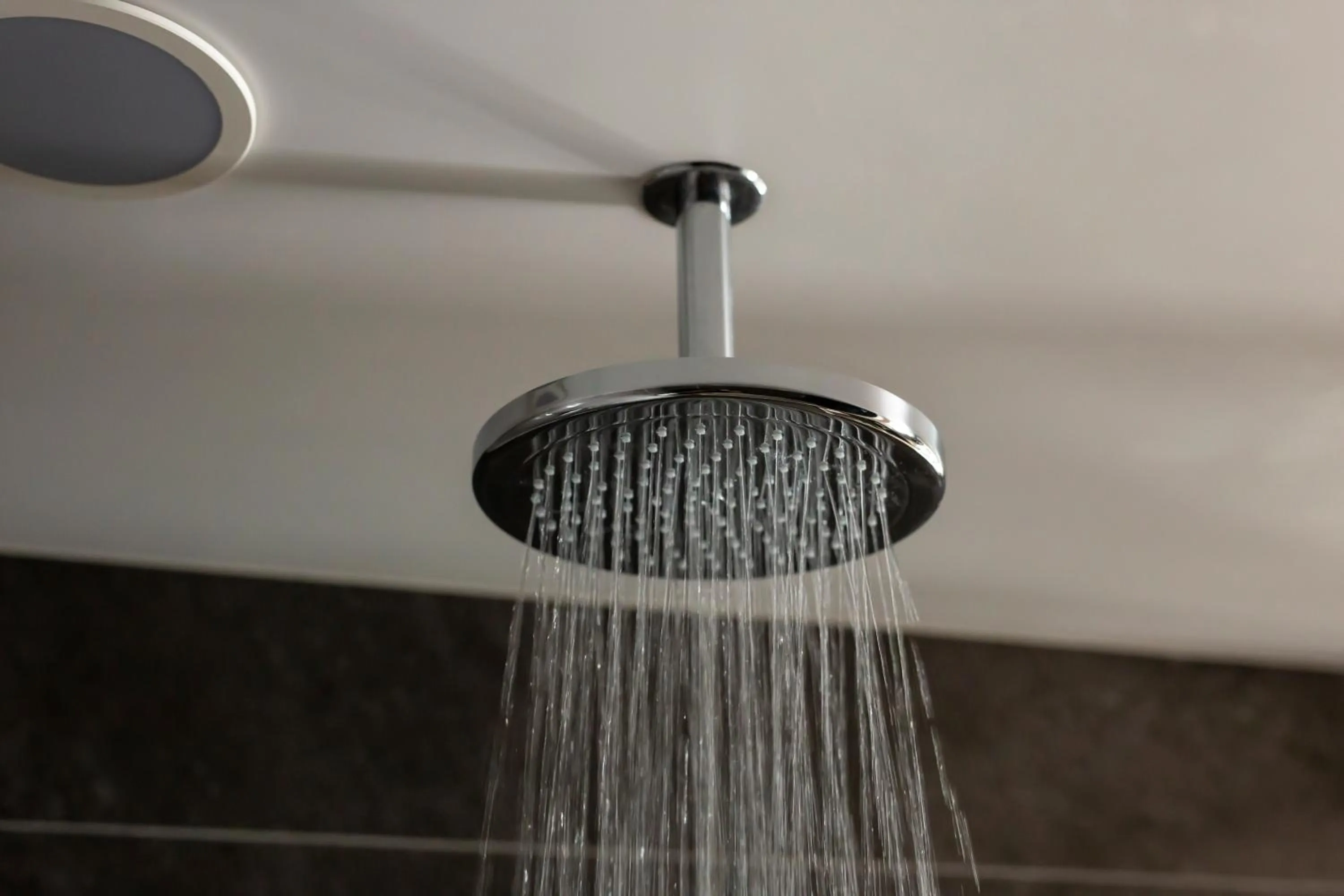 Shower, Bathroom in The Royal Park Hotel Kyoto Shijo