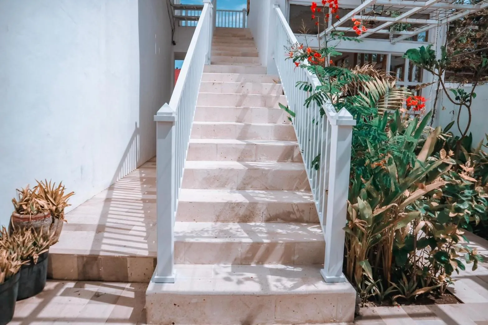 Facade/entrance in Hikari Guesthouse