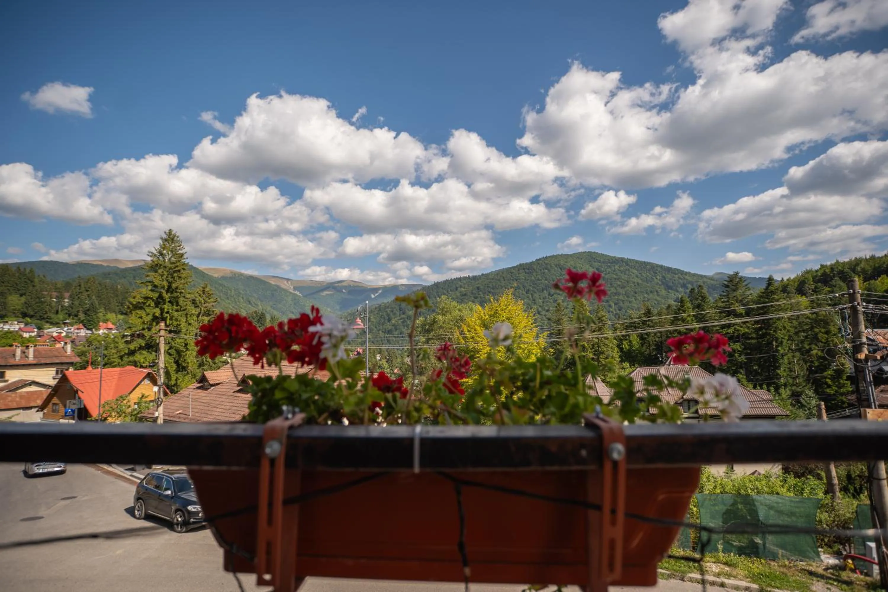 Mountain view in Opus View