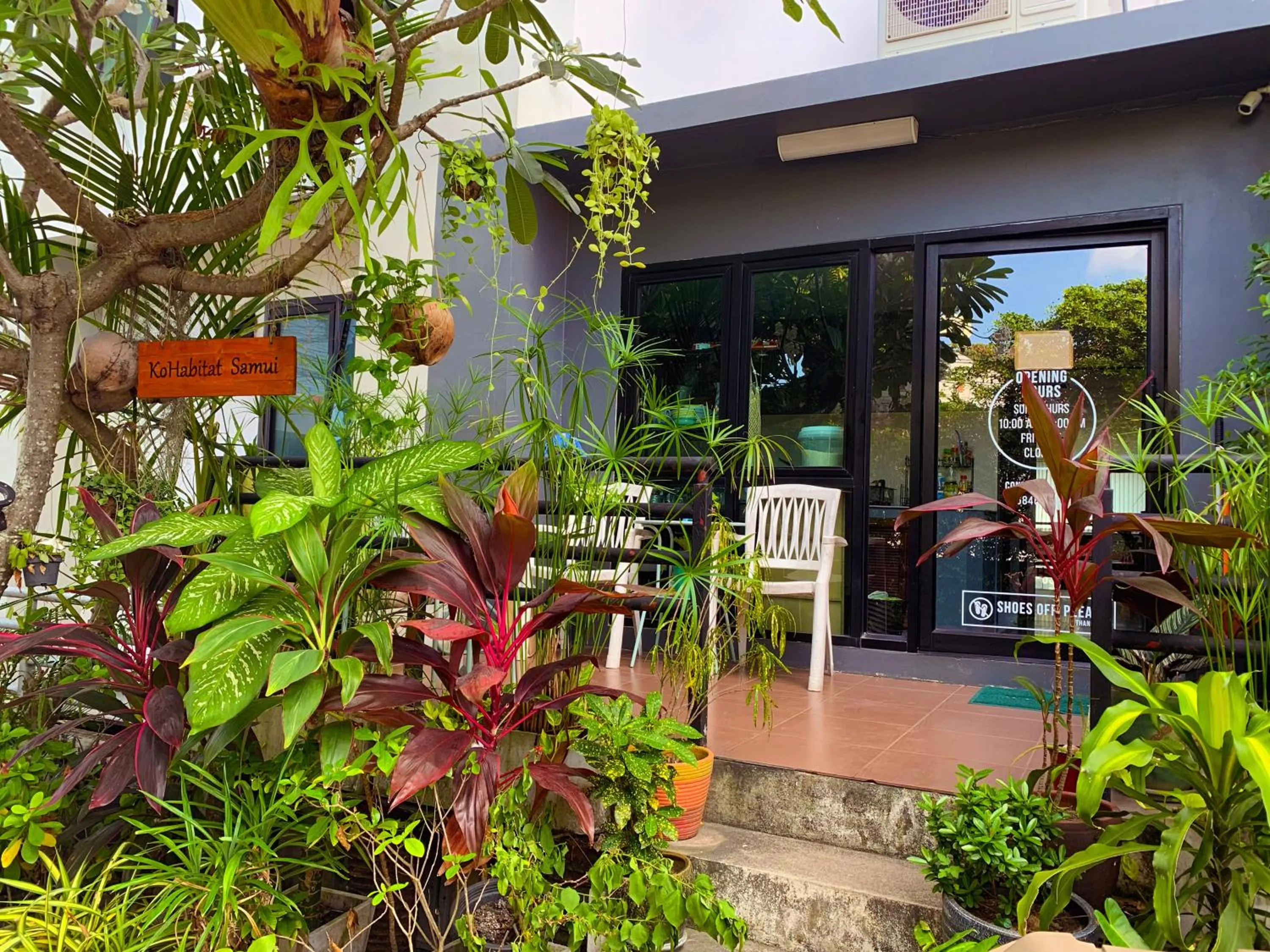 Property building in KoHabitat Samui