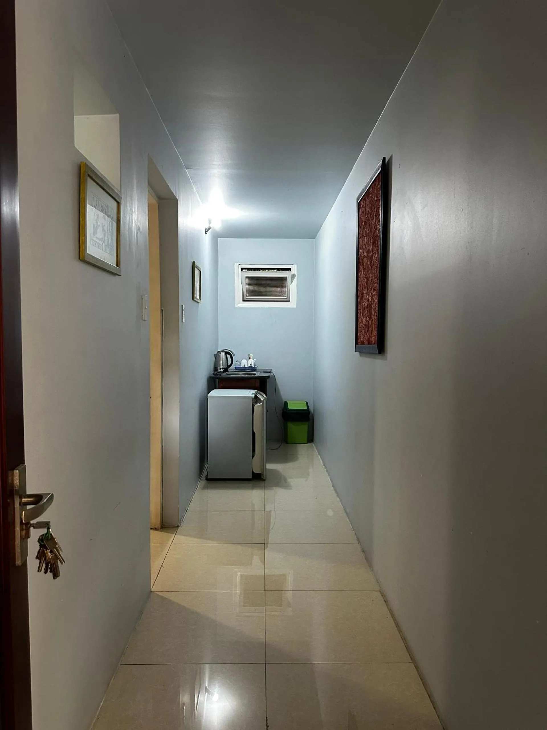 Kitchen or kitchenette in Ananas Beach Hotel