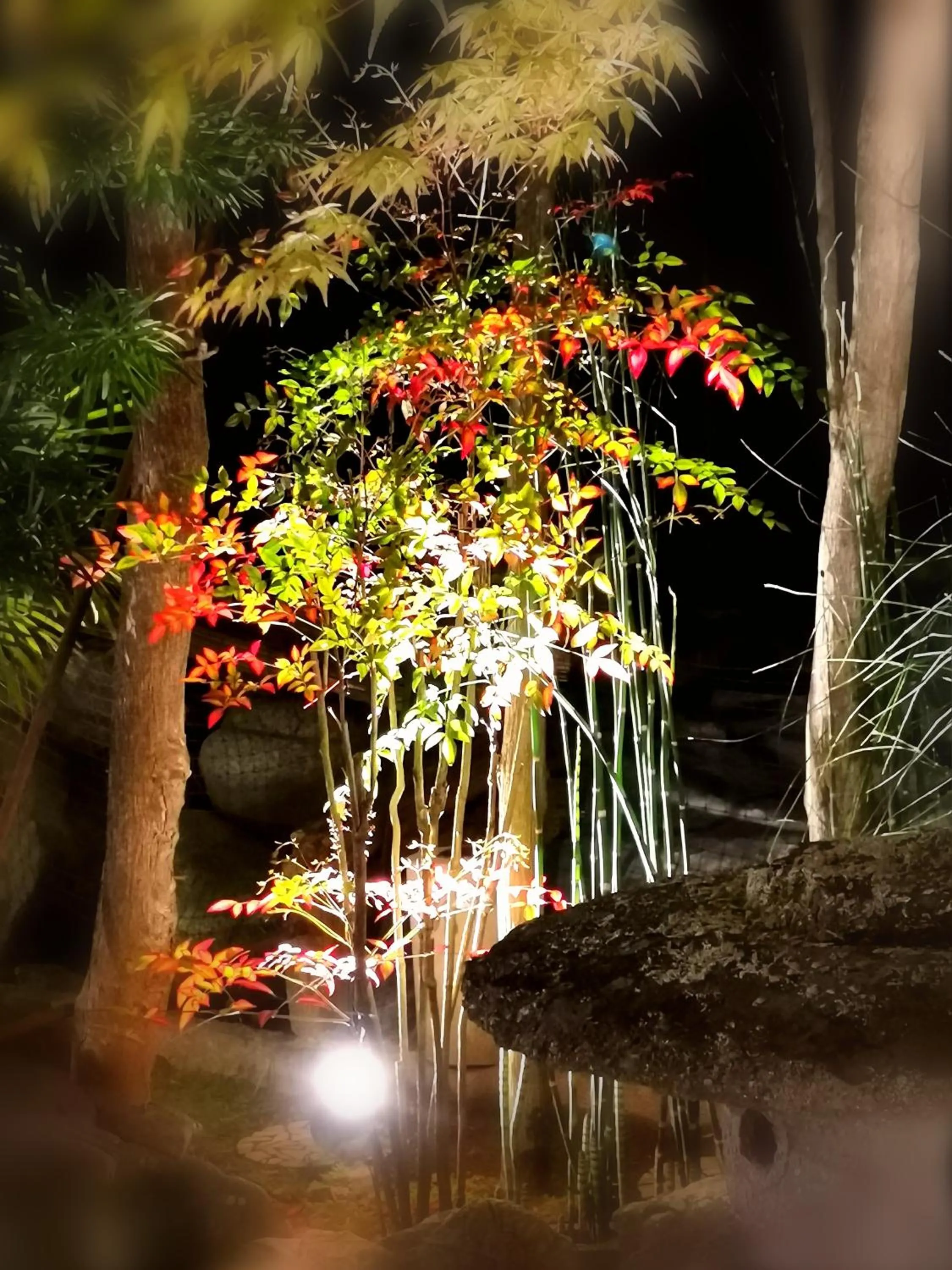 Garden in Kominka Mitsuhama Ryokan