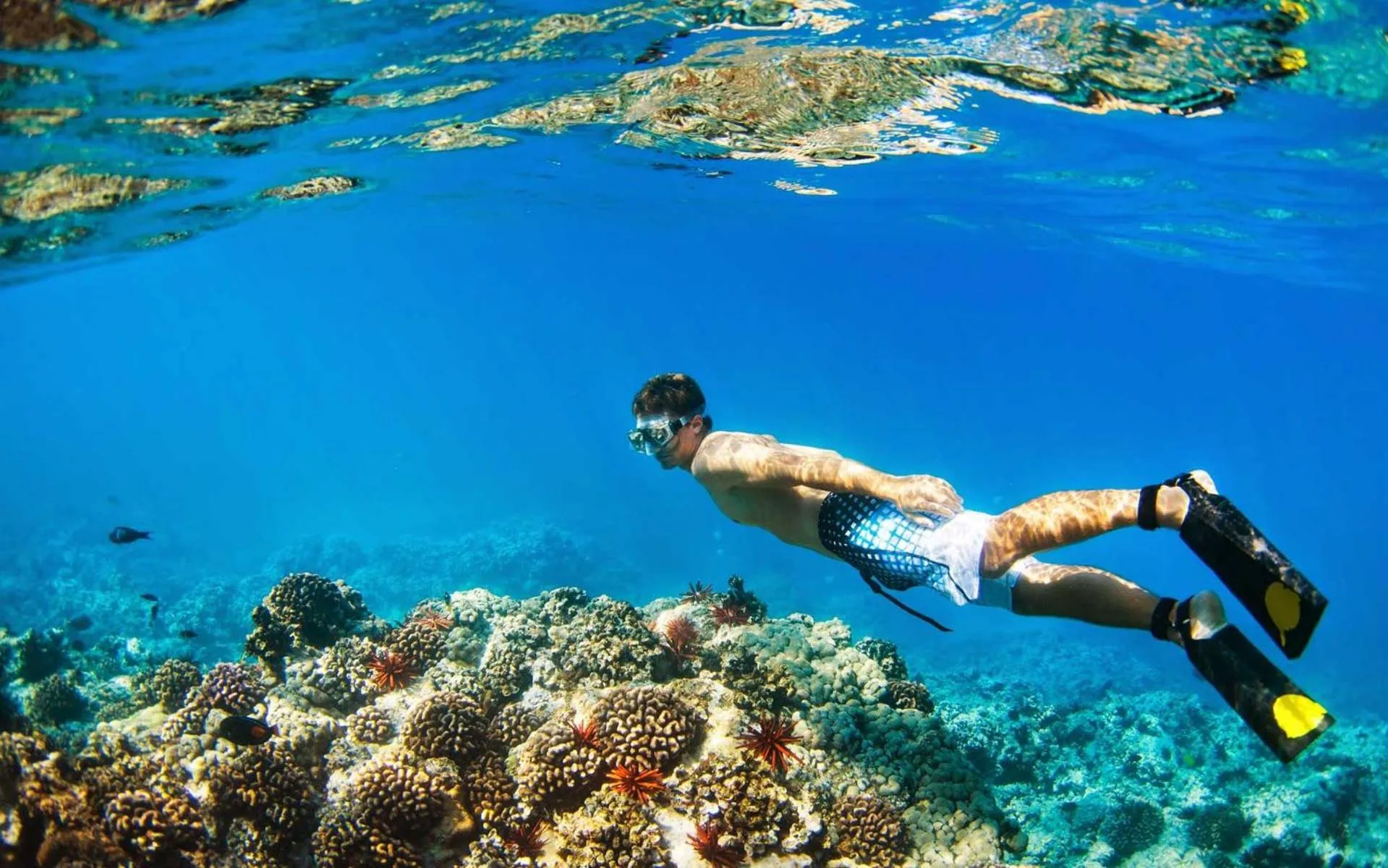 Nearby landmark in Island Home Inn