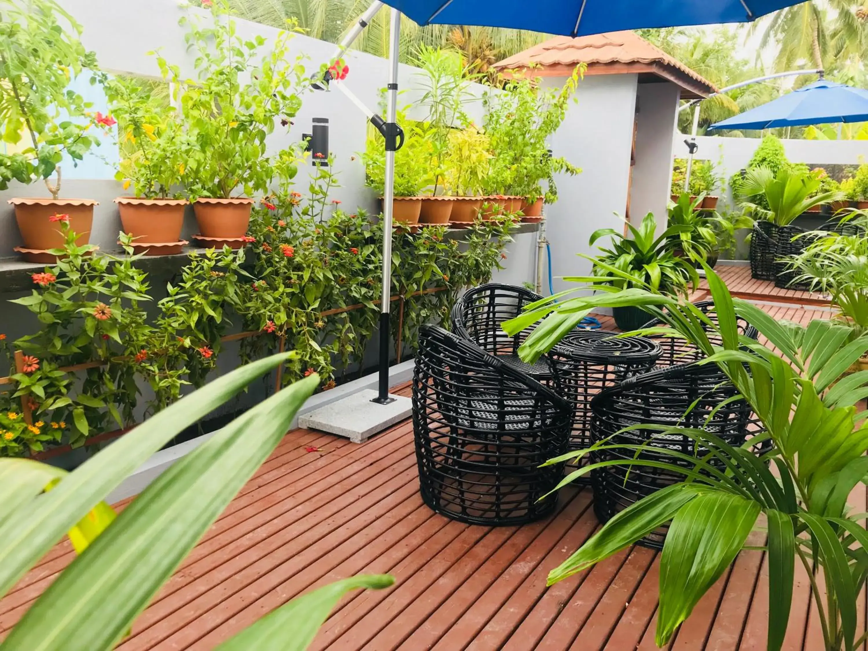 Property building in Island Home Inn Property building in Island Home Inn