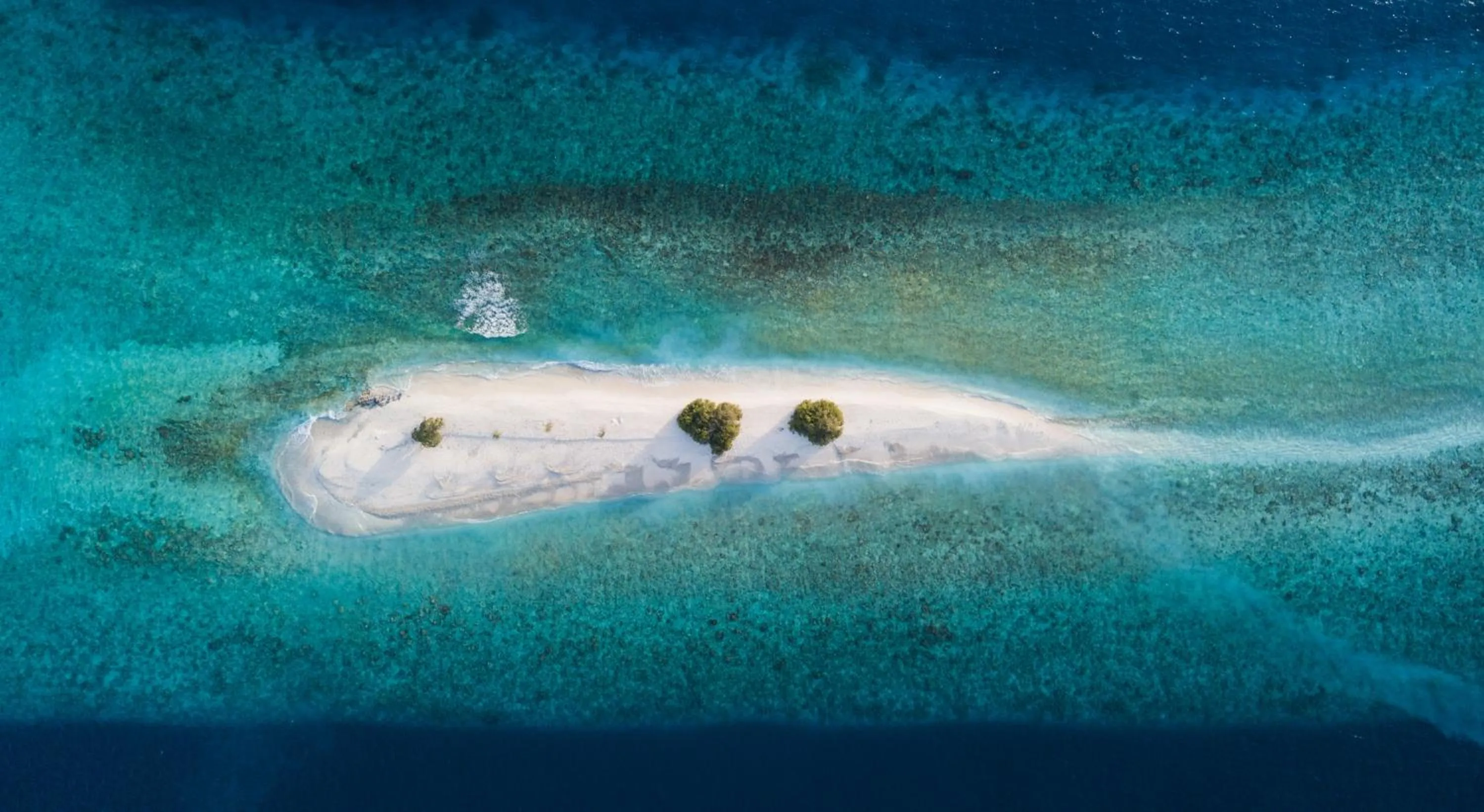 Activities in Island Home Inn