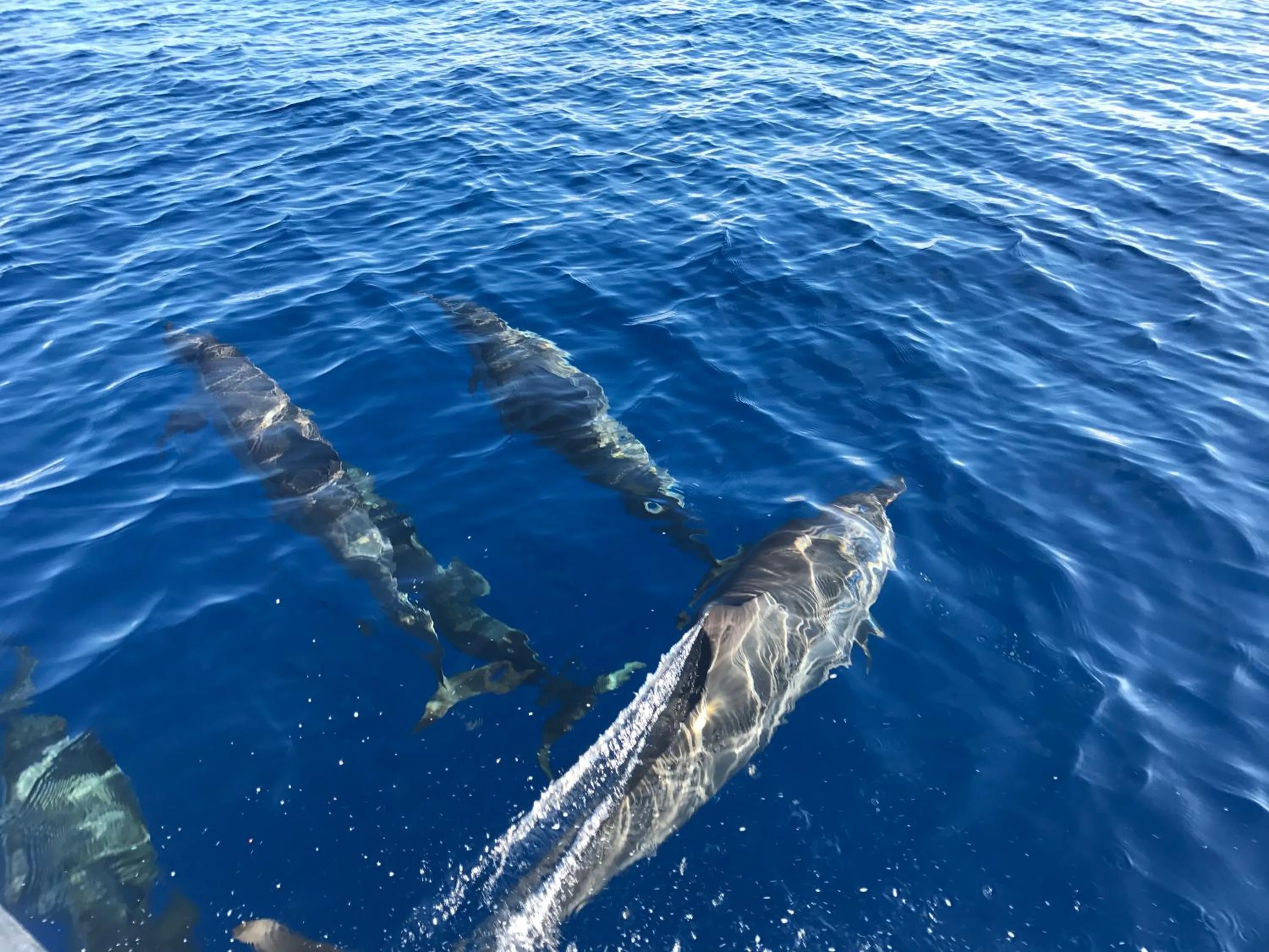 Off site in Island Home Inn