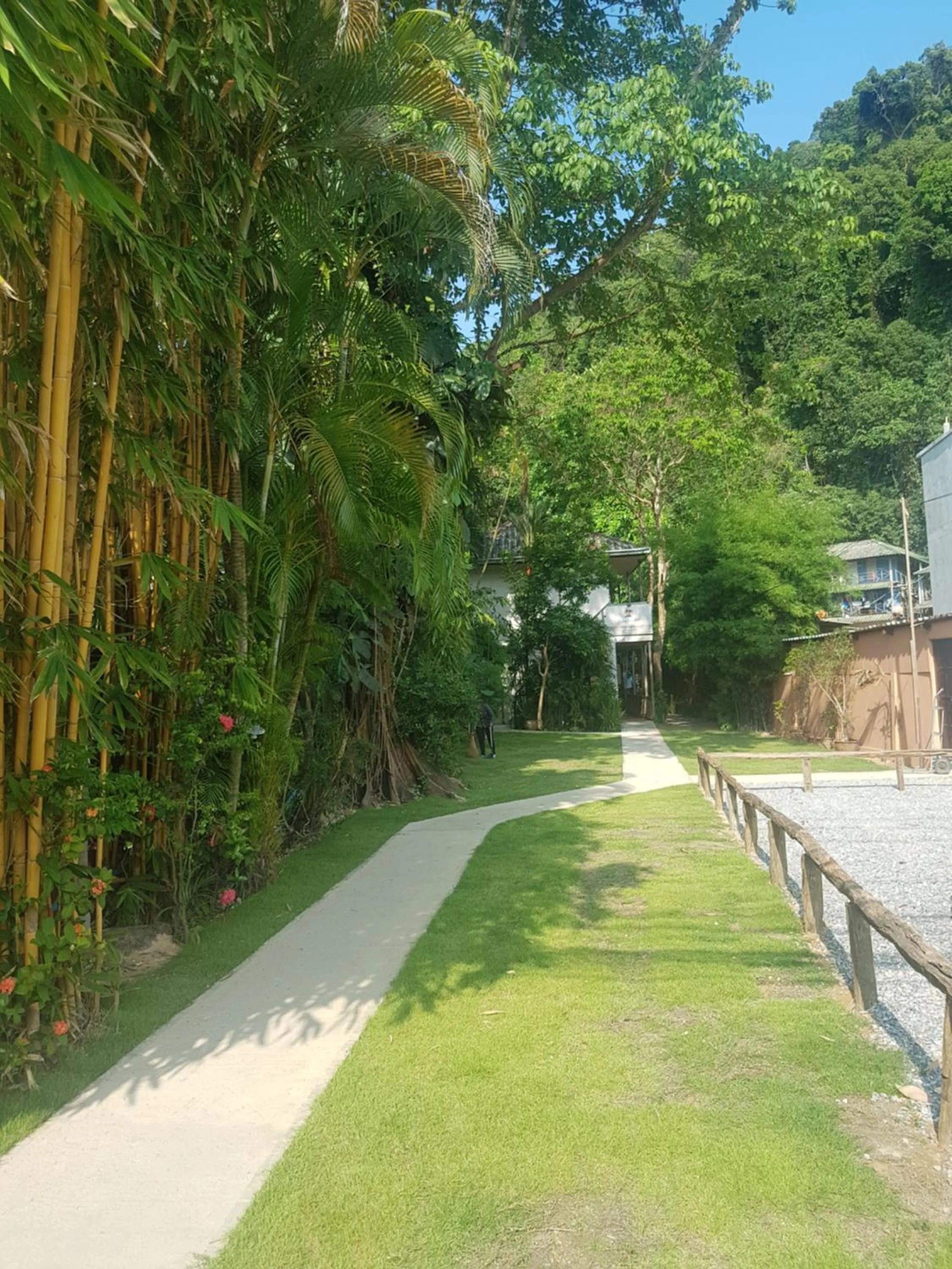 Palm Garden