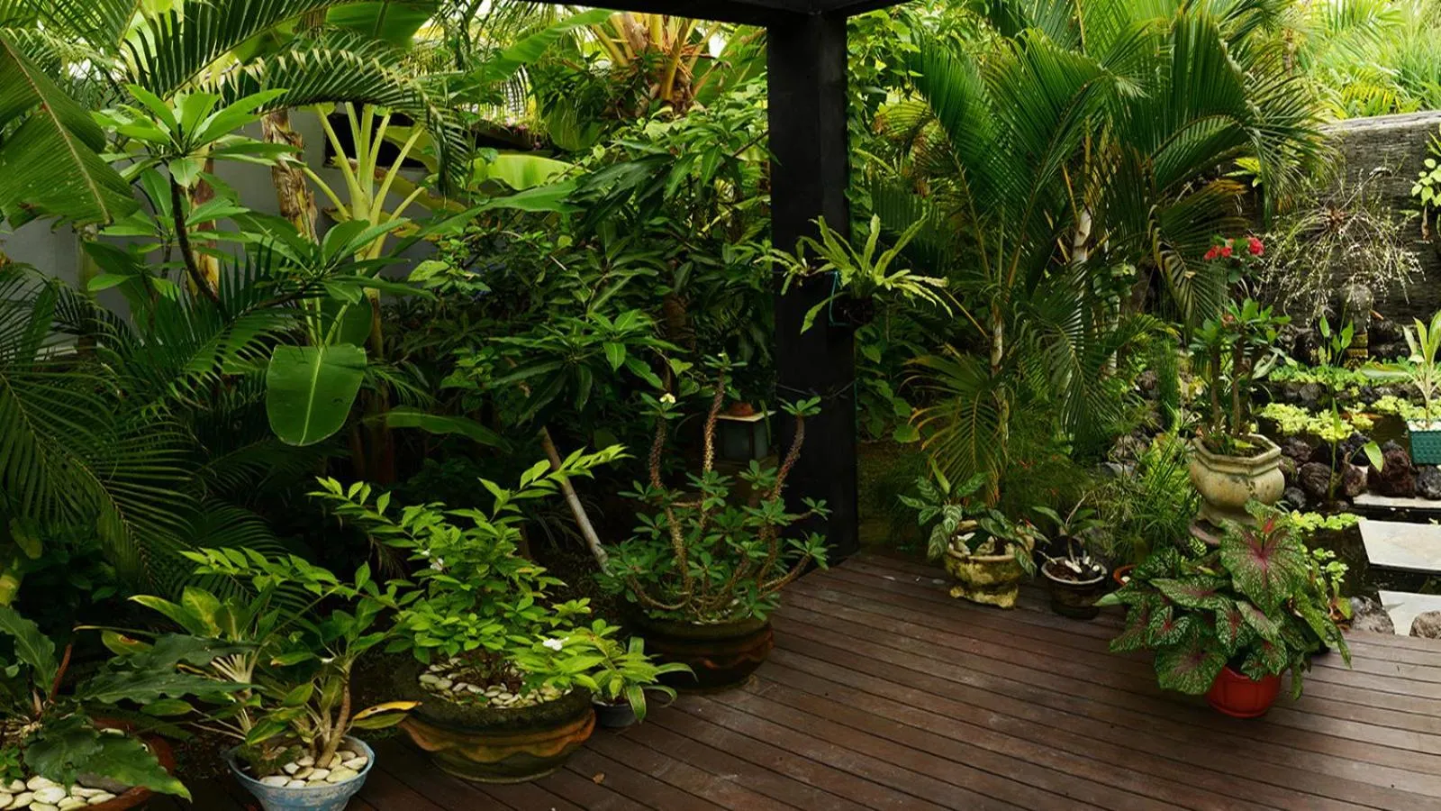 Garden in Villa Latebra