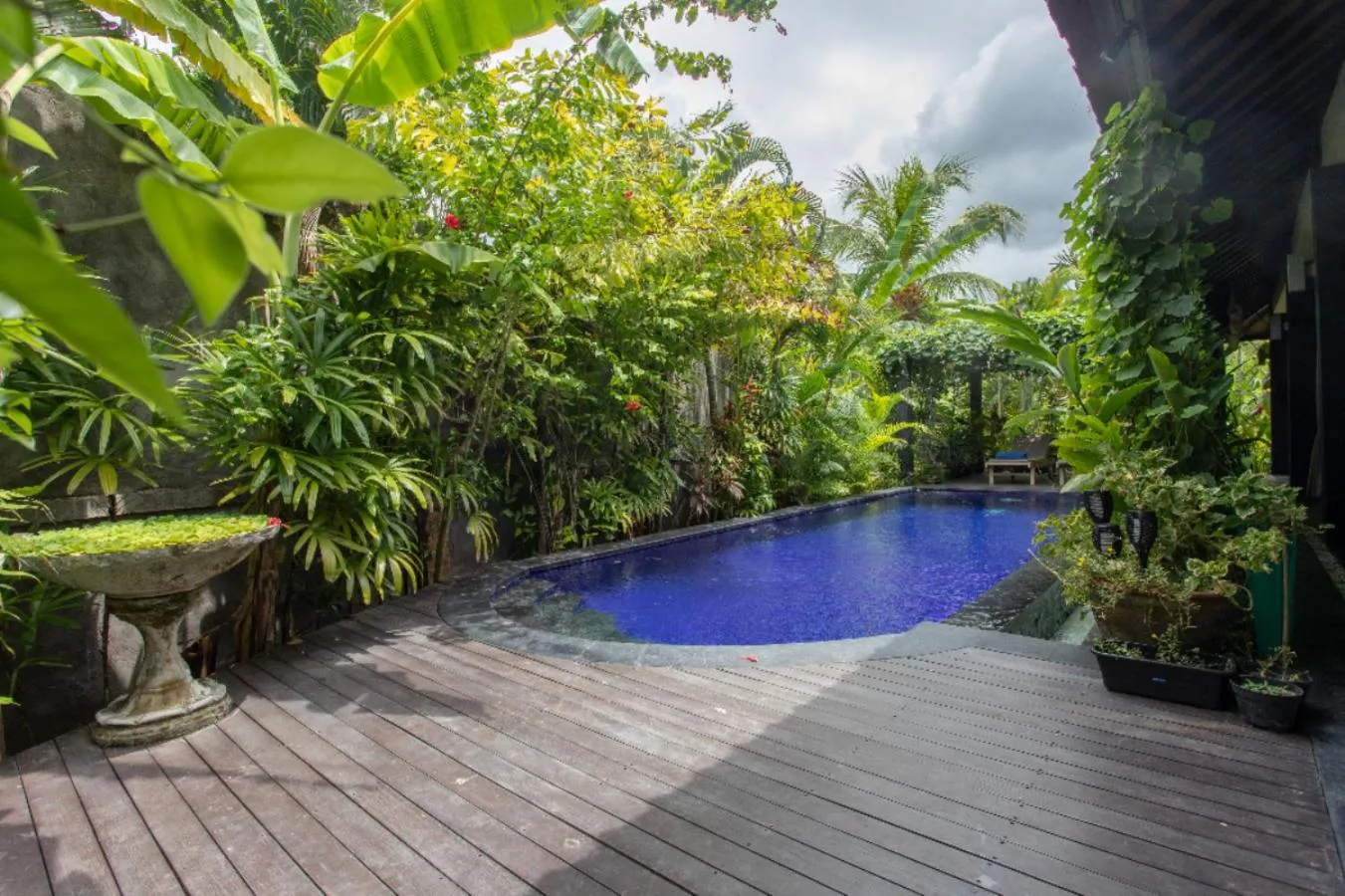 Pool view in Villa Latebra