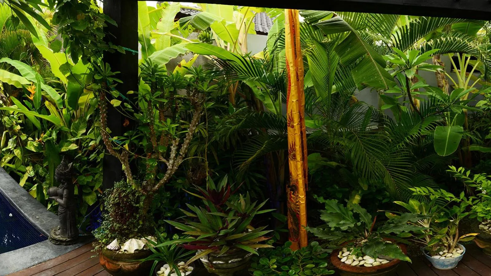 Garden in Villa Latebra