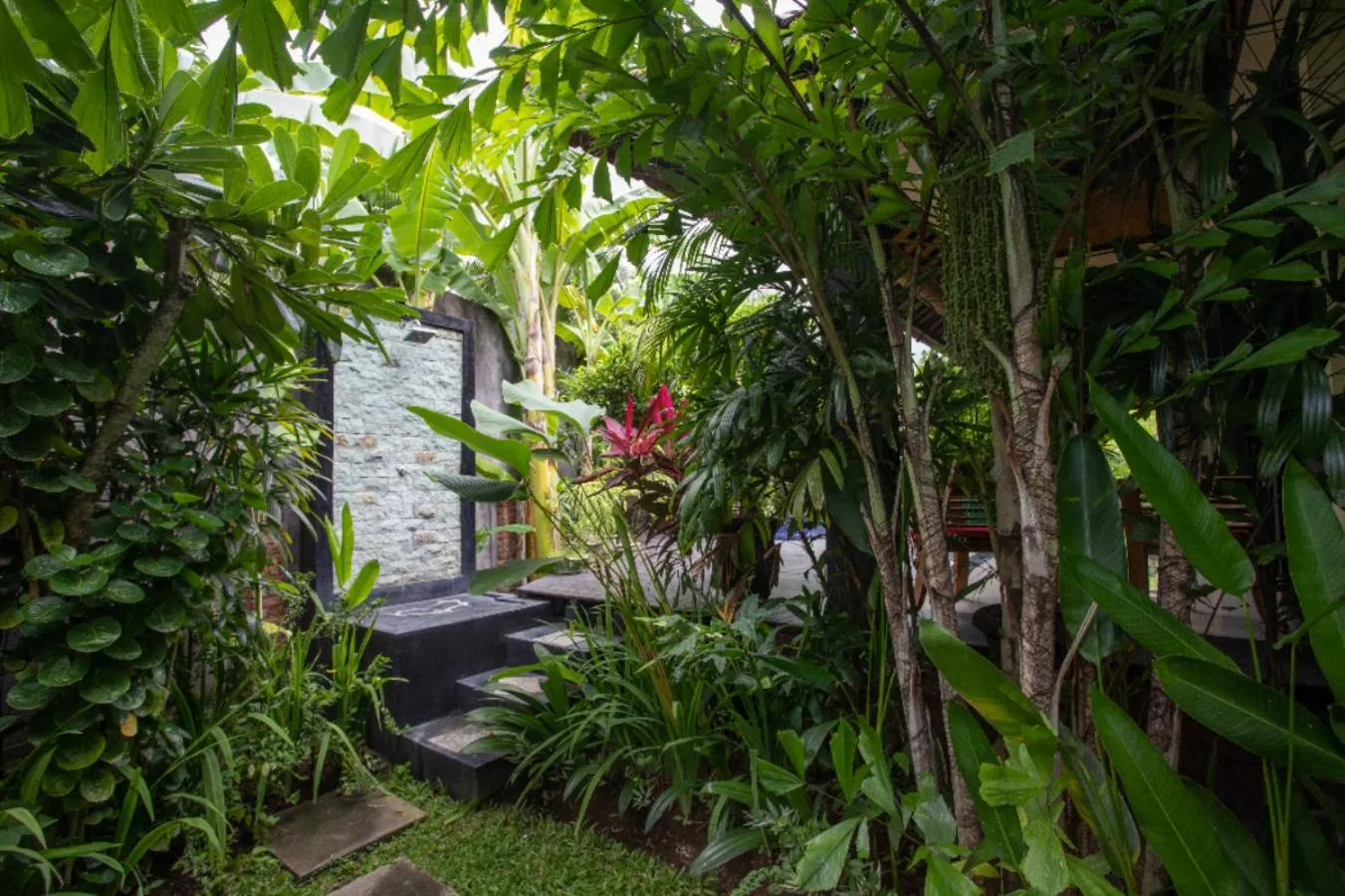 Garden in Villa Latebra