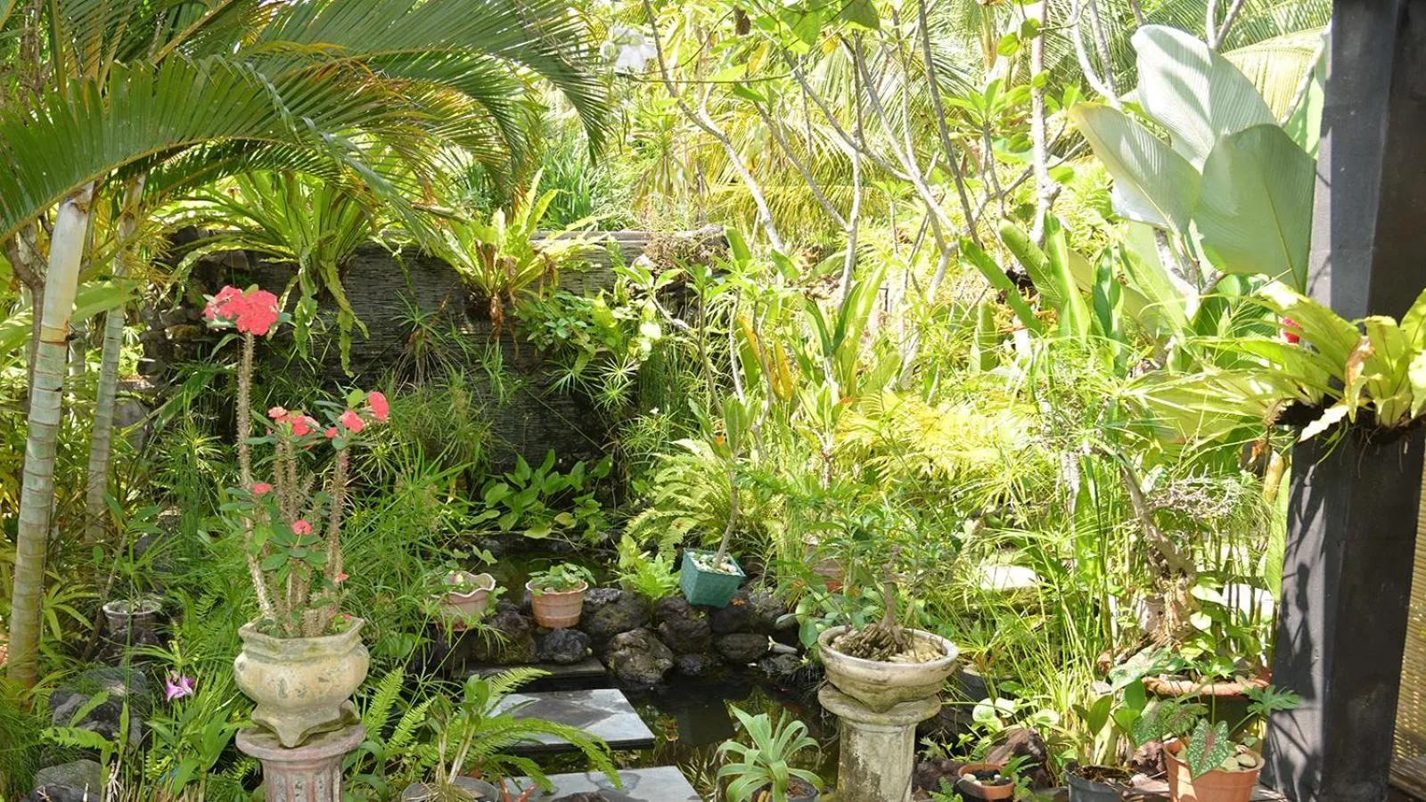 Garden in Villa Latebra