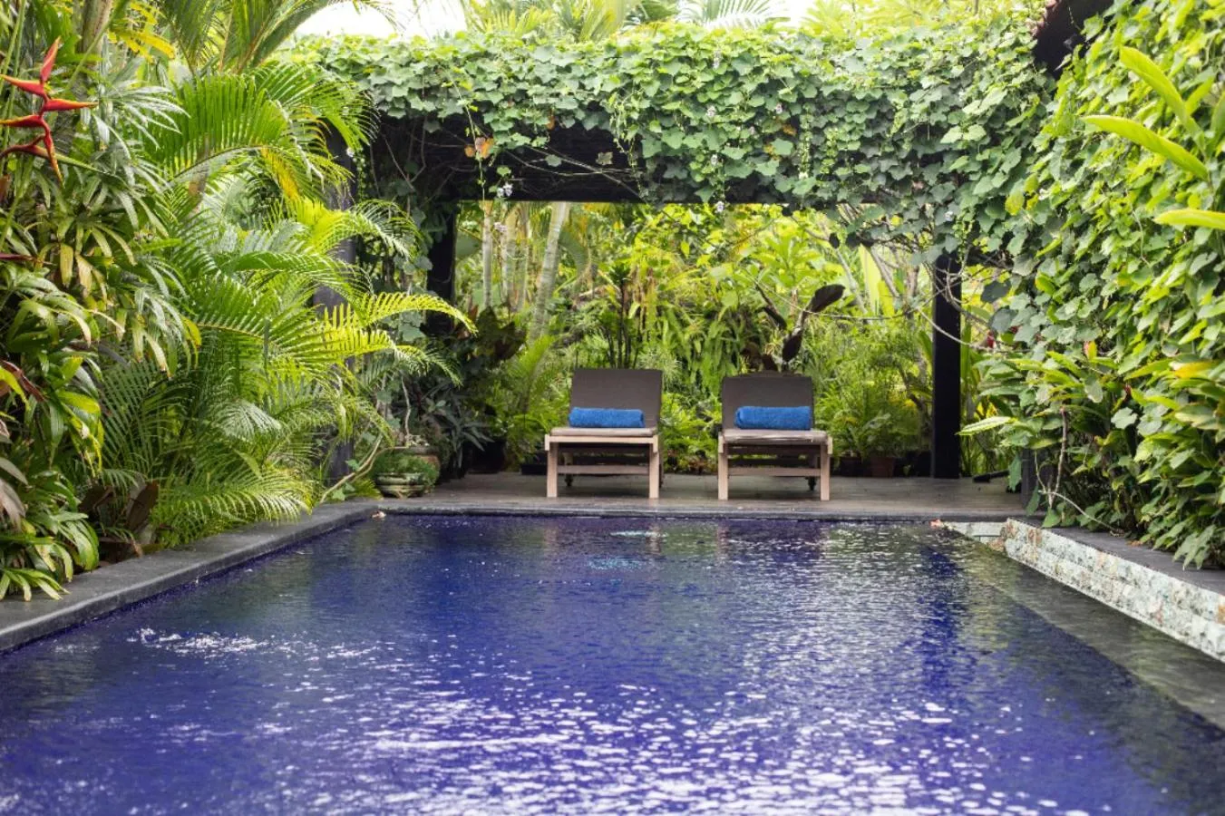 Swimming pool in Villa Latebra